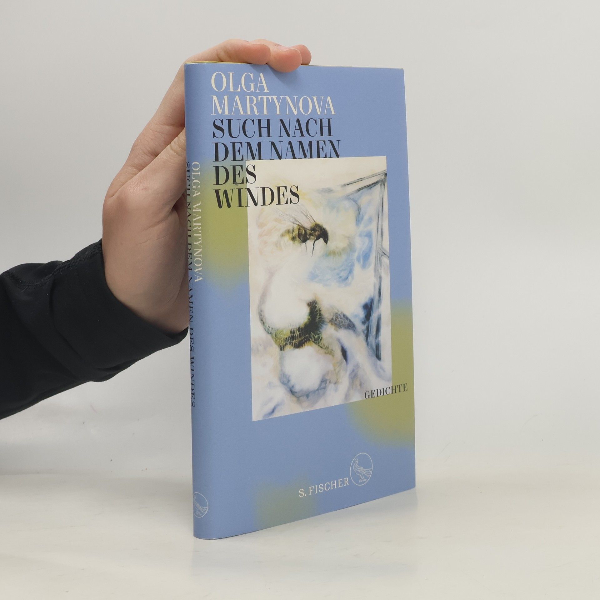 Such nach dem Namen des Windes