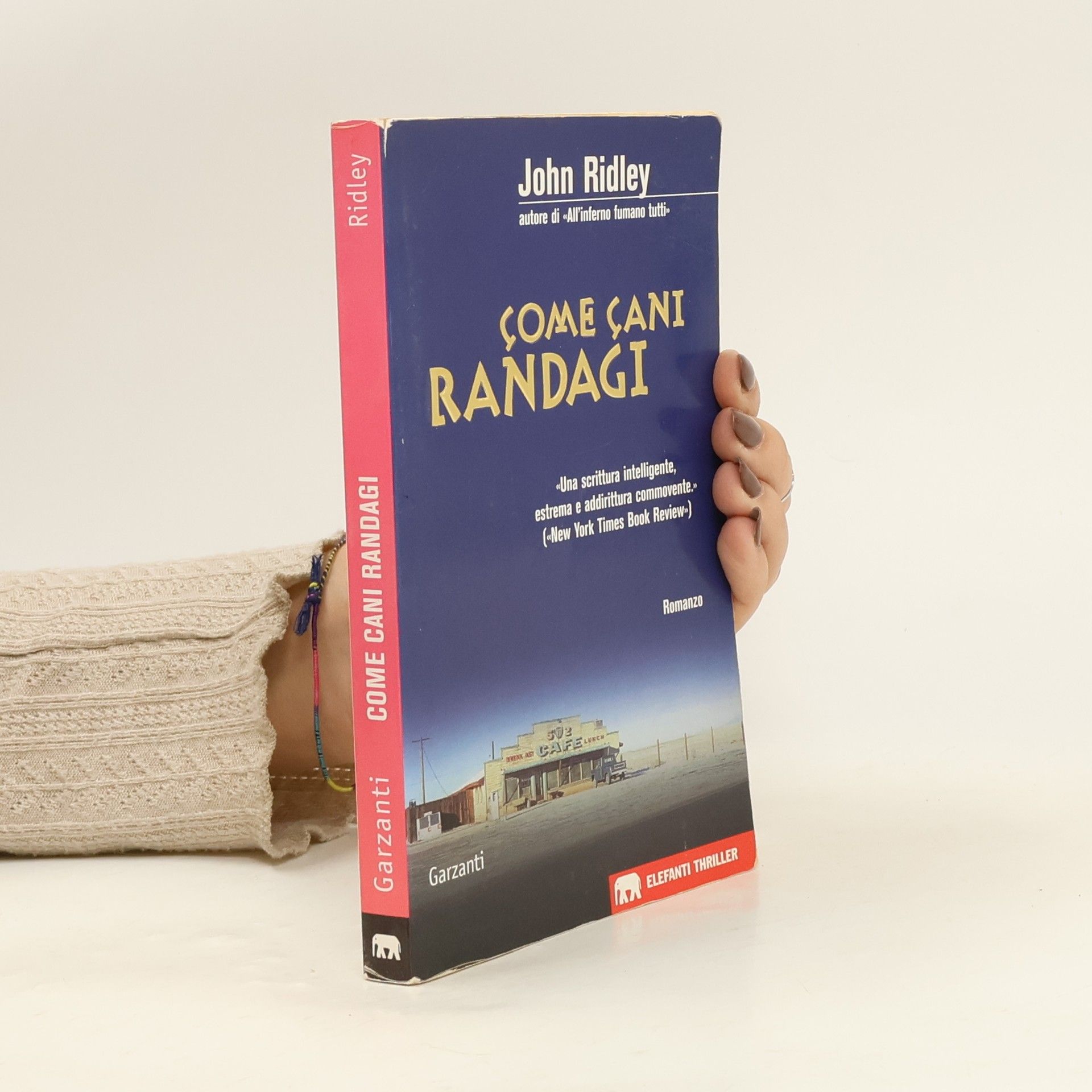 John Ridley Come cani randagi