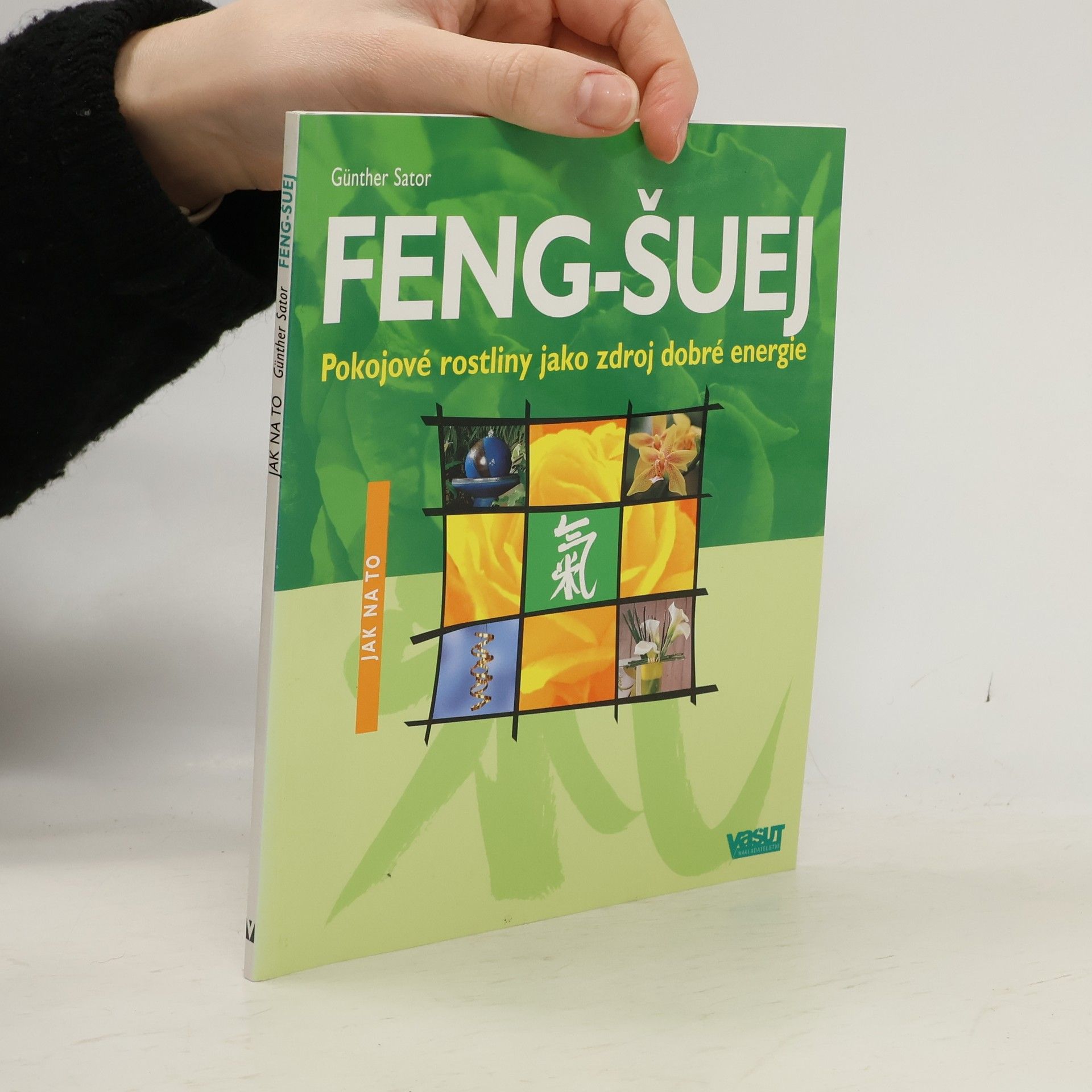 Feng-šuej : pokojové rostliny jako zdroj dobré energie