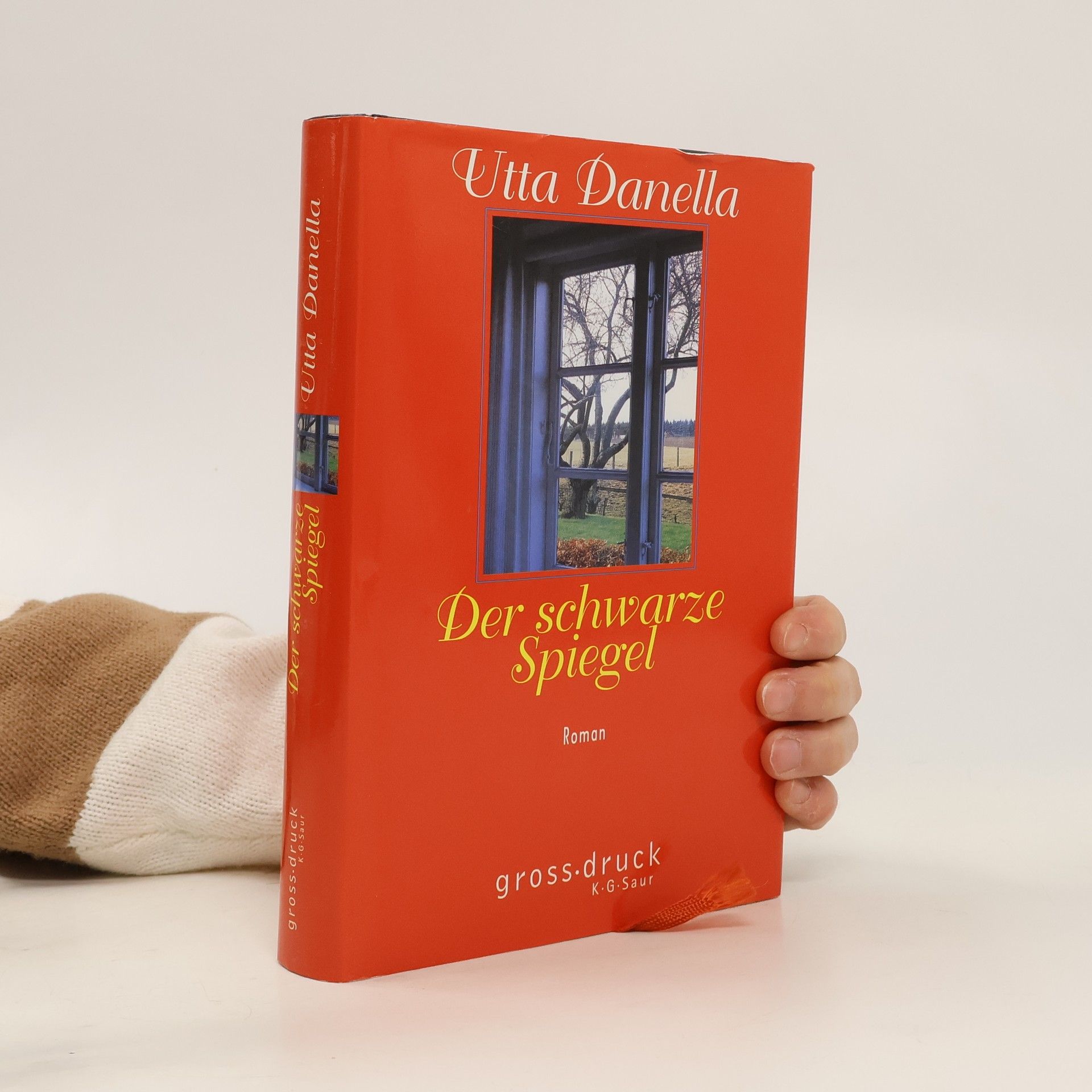 Der schwarze Spiegel