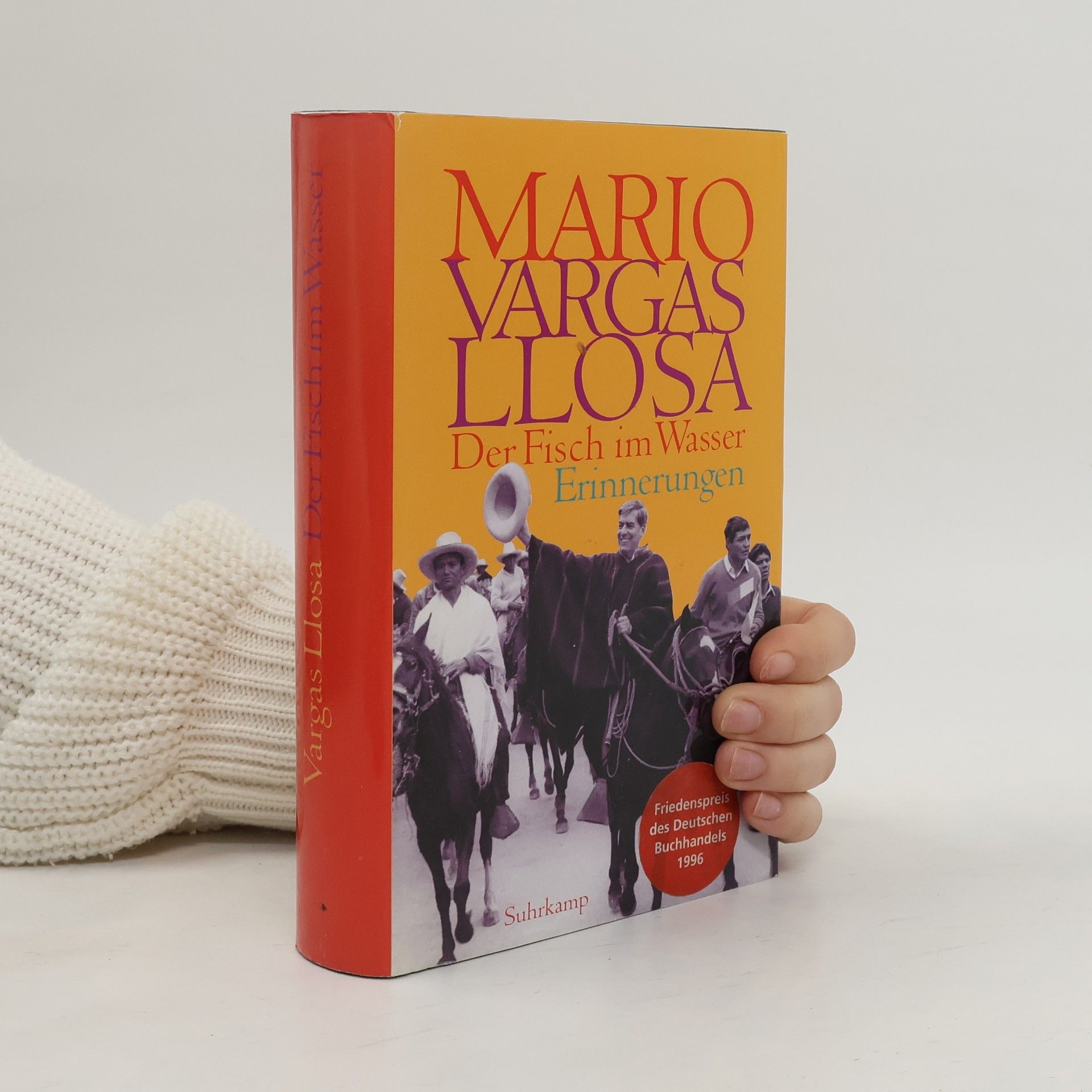 Mario Vargas Llosa Der Fisch im Wasser