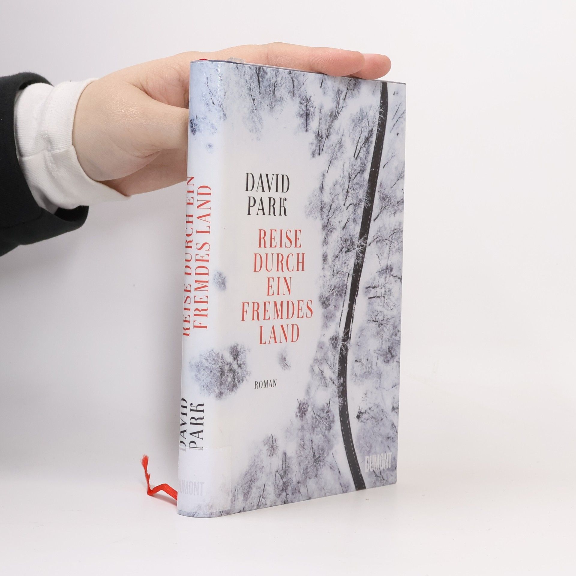 David Park Reise durch ein fremdes Land