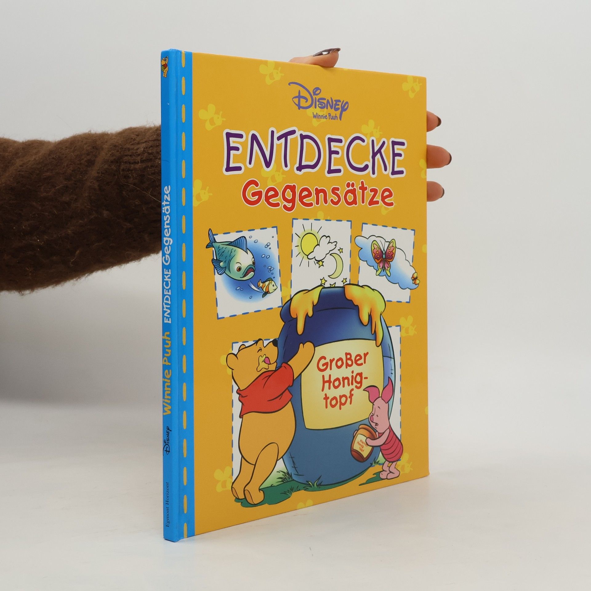 Autorenkollektiv Entdecke Gegensätze