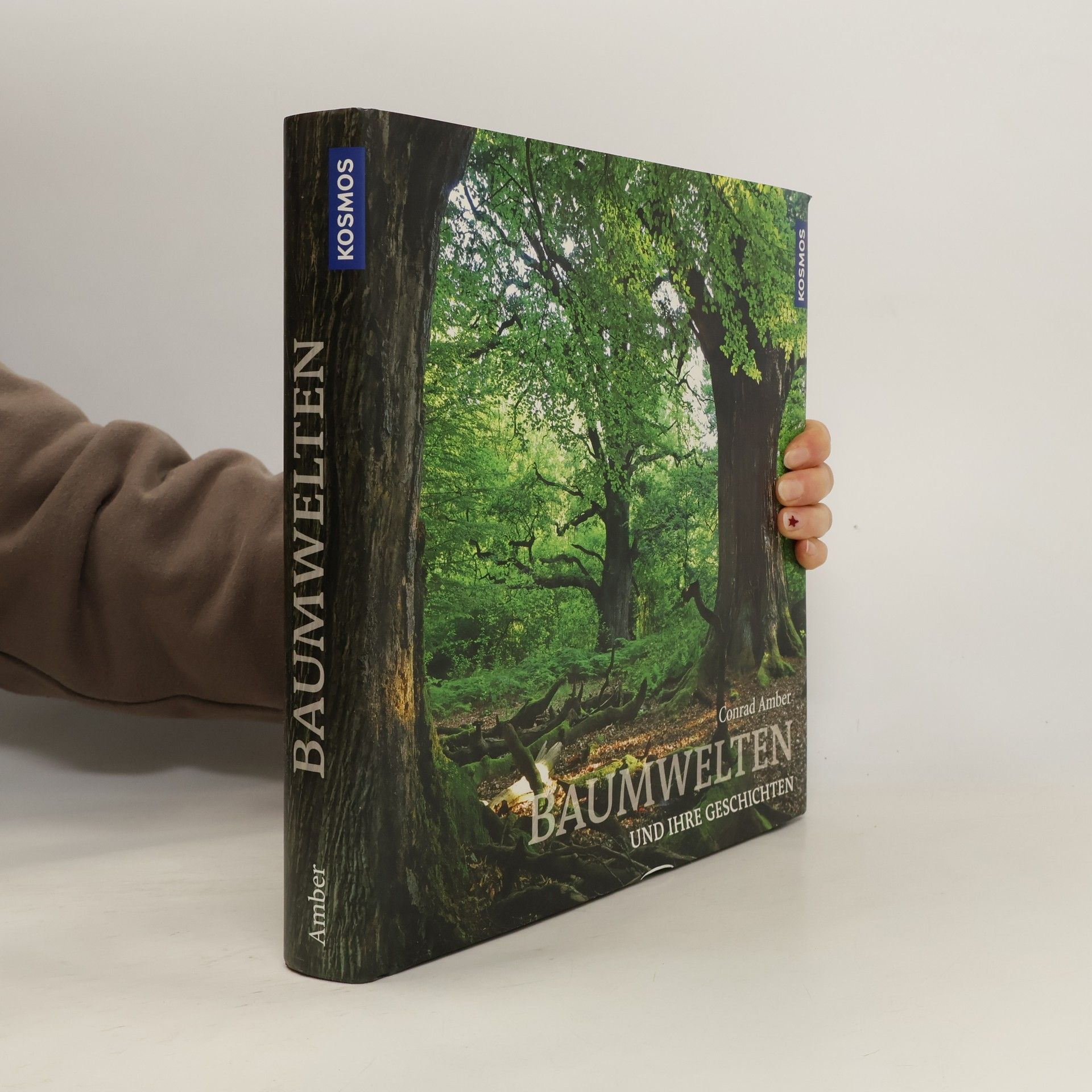 Conrad Amber Baumwelten und ihre Geschichten