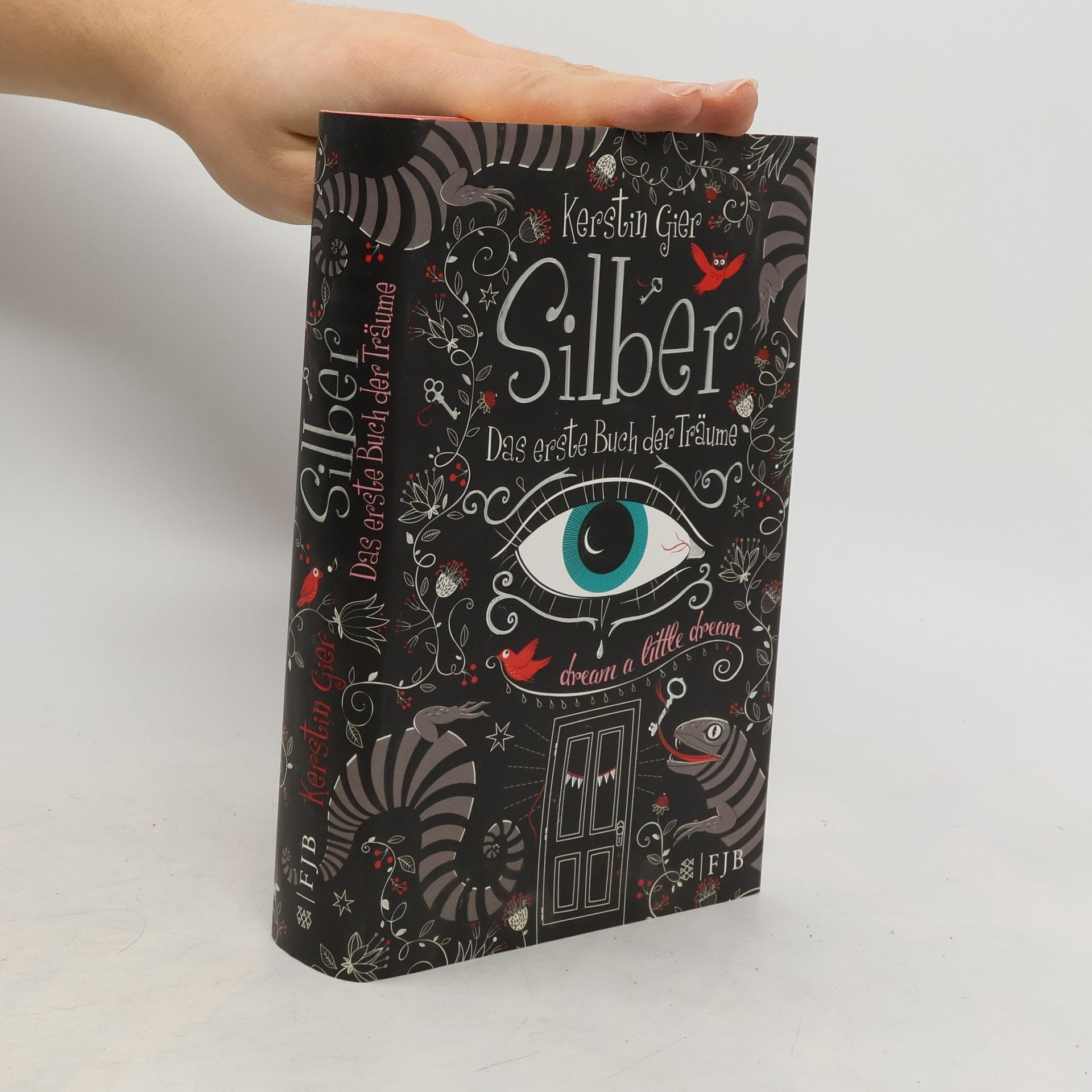 Kerstin Gier Silber. Das erste Buch der Träume