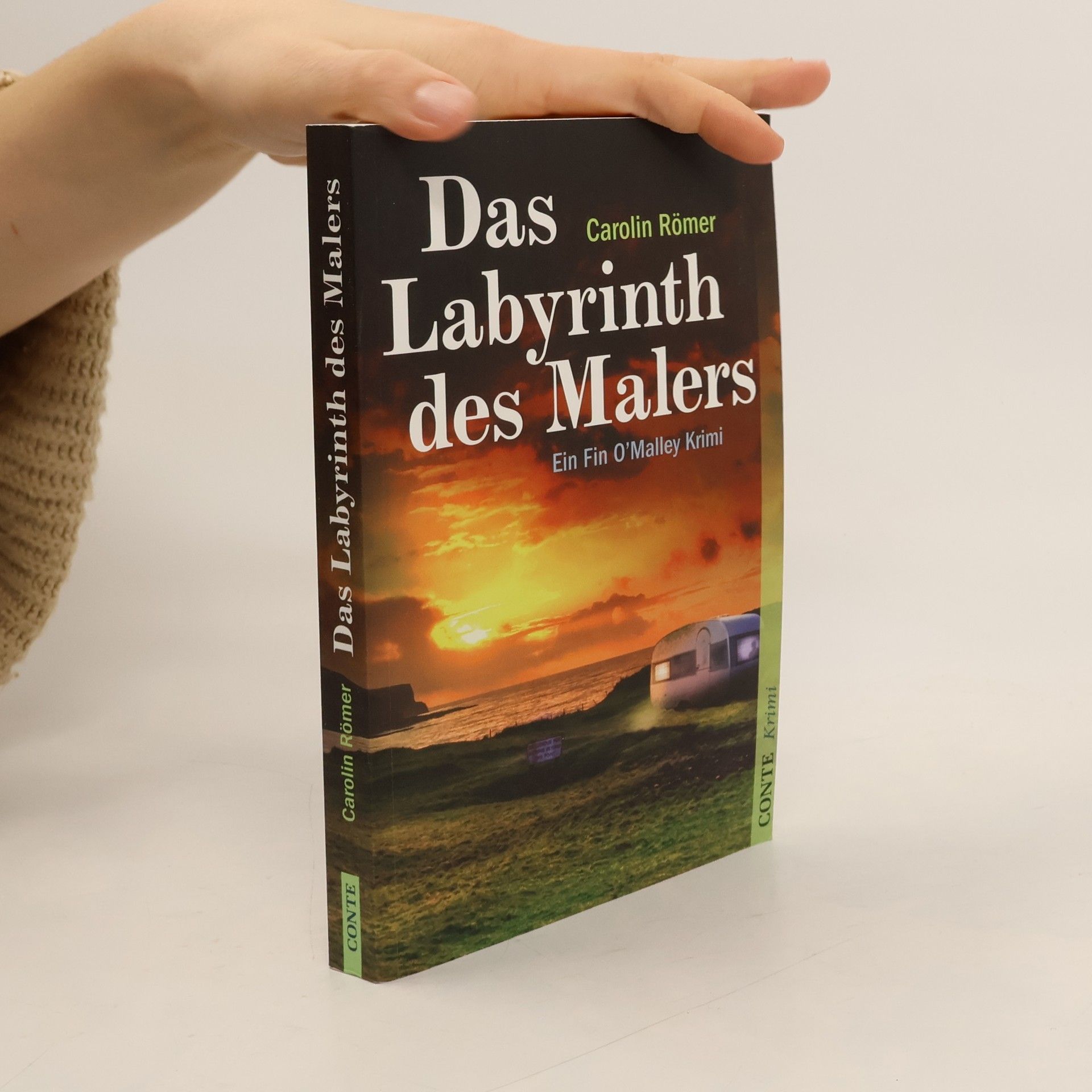 Fin O'Malley - 3: Das Labyrinth des Malers