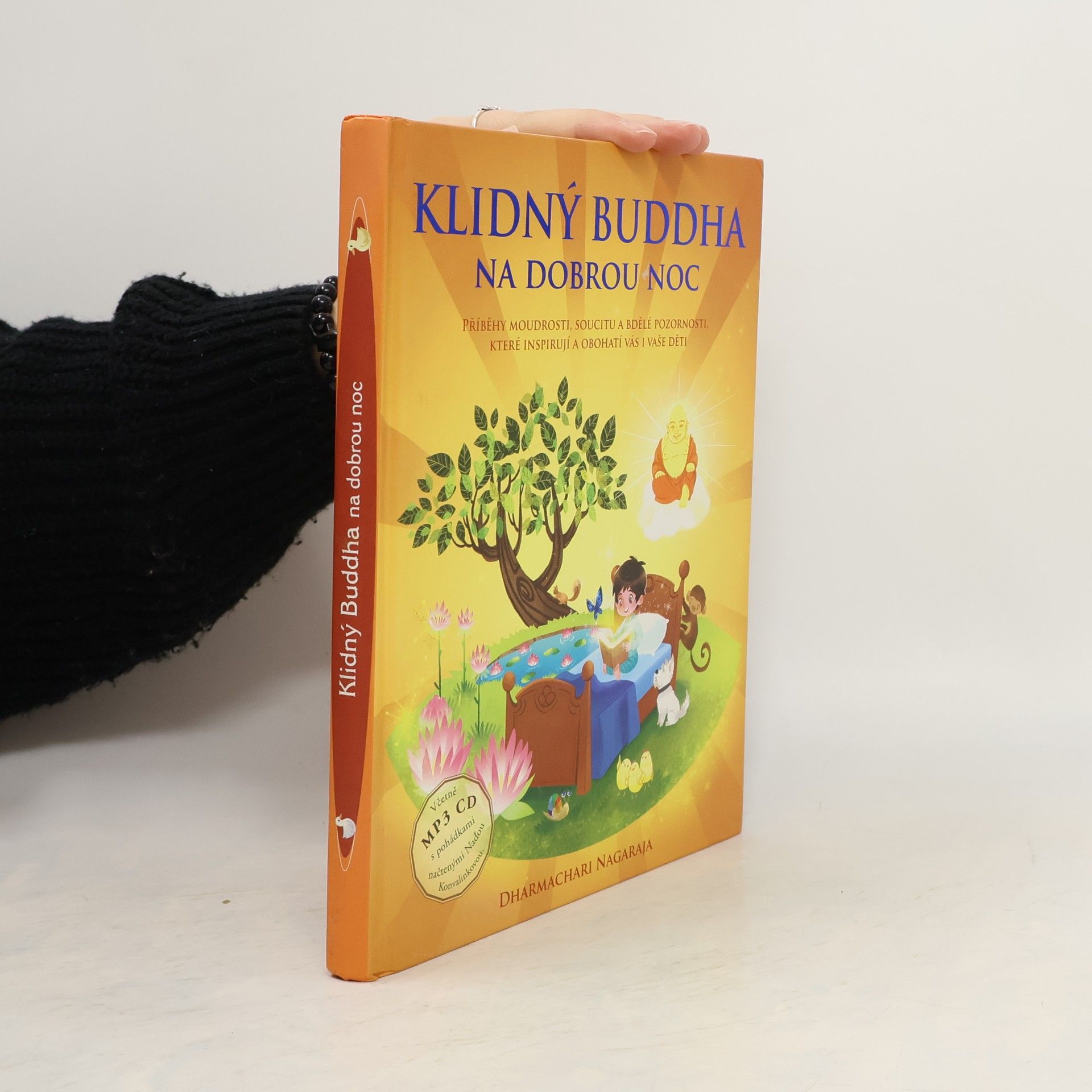 Klidný Buddha na dobrou noc.