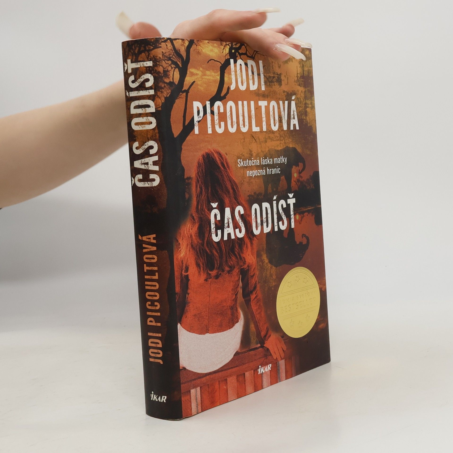 Jodi Picoult Čas odísť