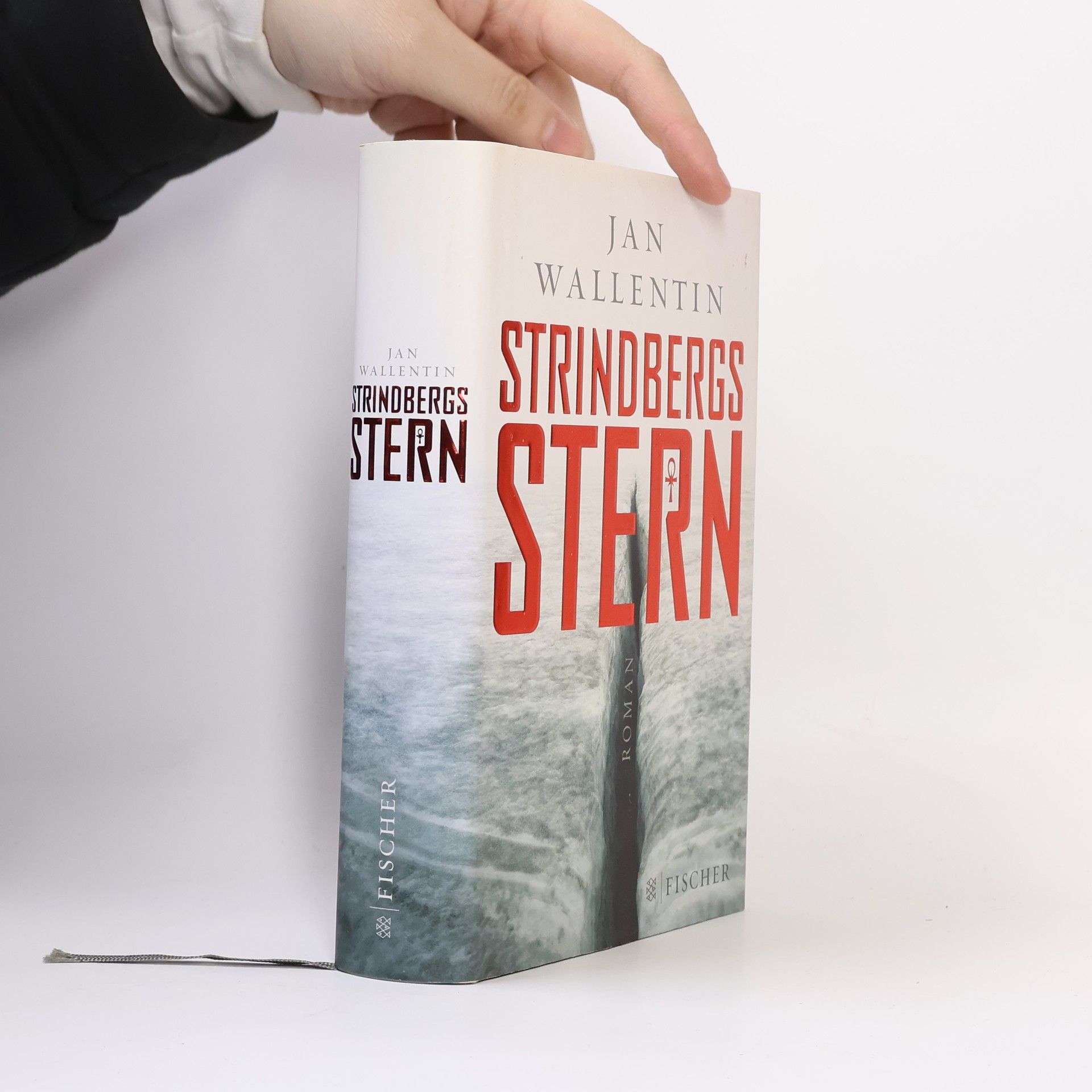 Jan Wallentin Strindbergs Stern