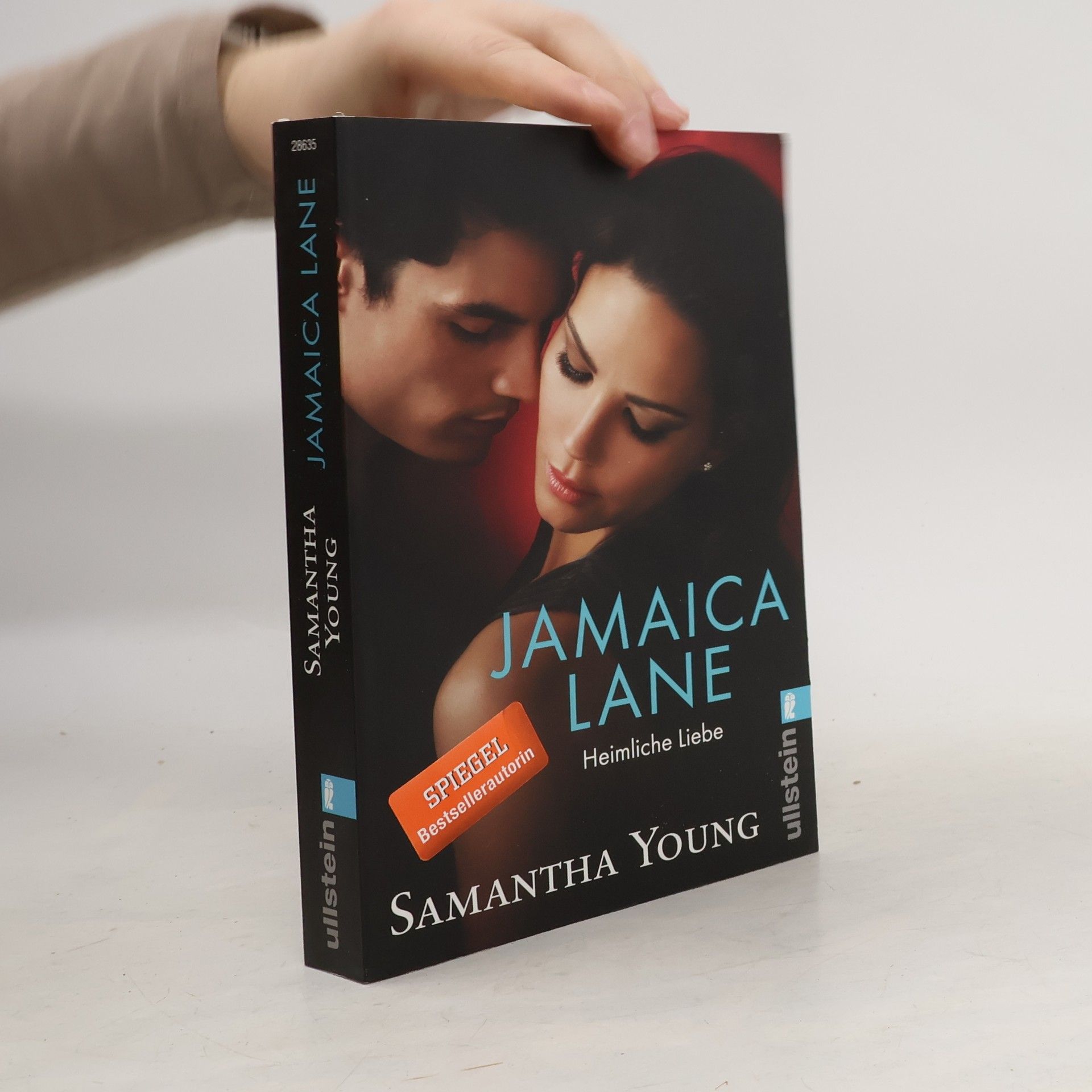 Samantha Young Jamaica Lane: Heimliche Liebe