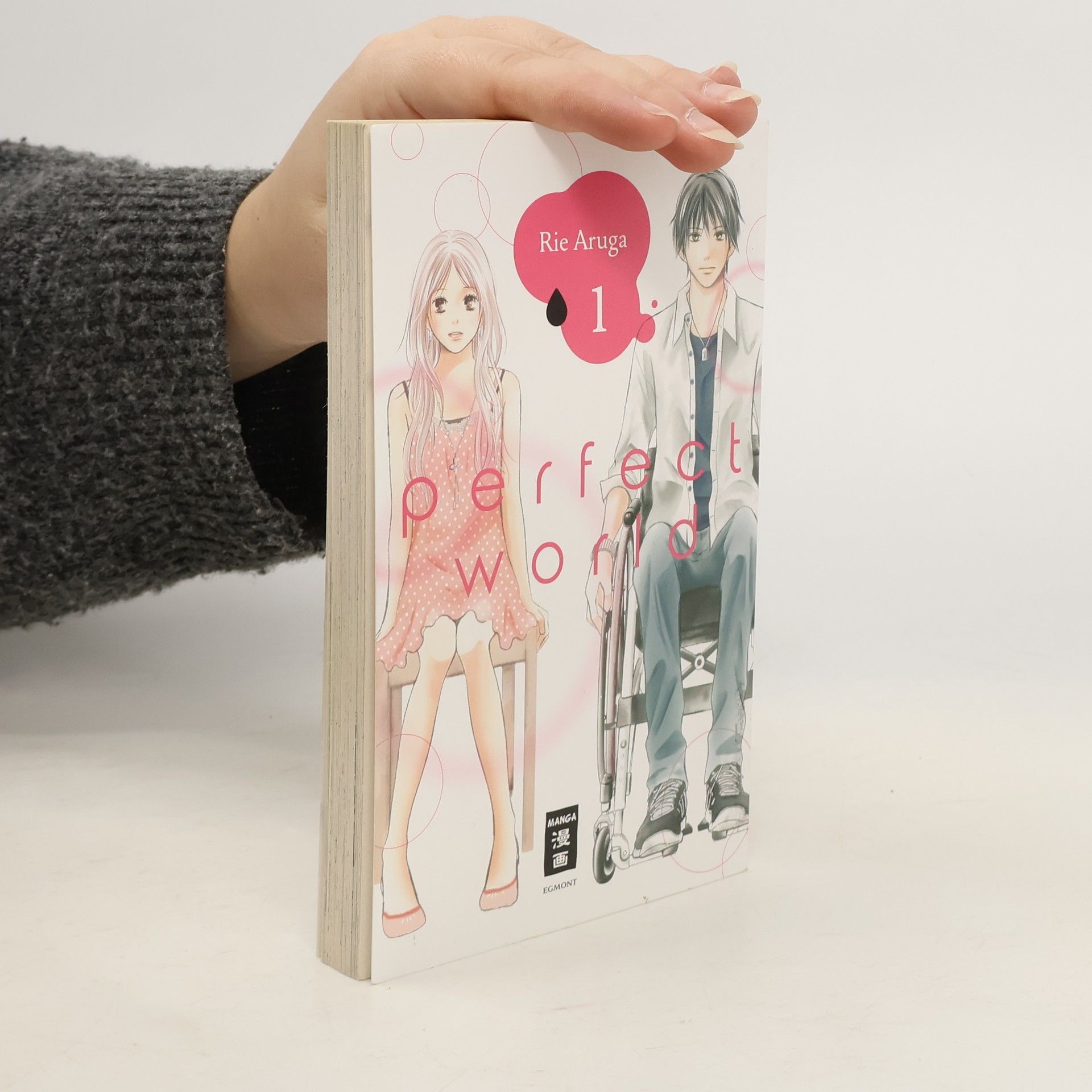 Rie Aruga Perfect World 1