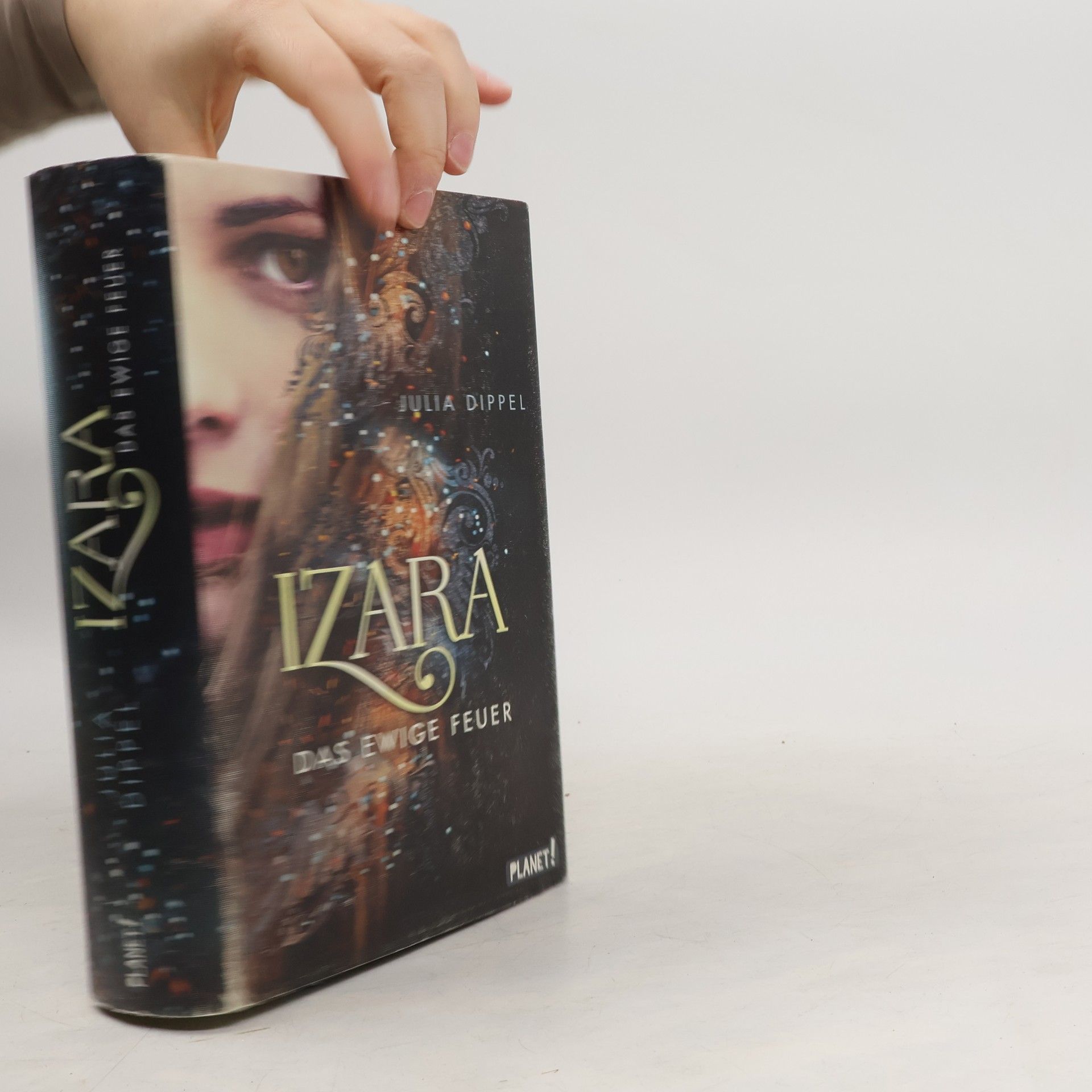 Julia Dippel Das ewige Feuer