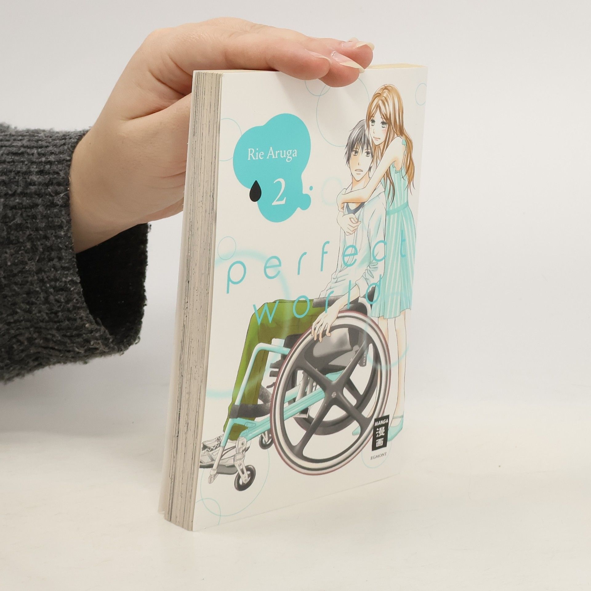 Rie Aruga Perfect World. Bd.2