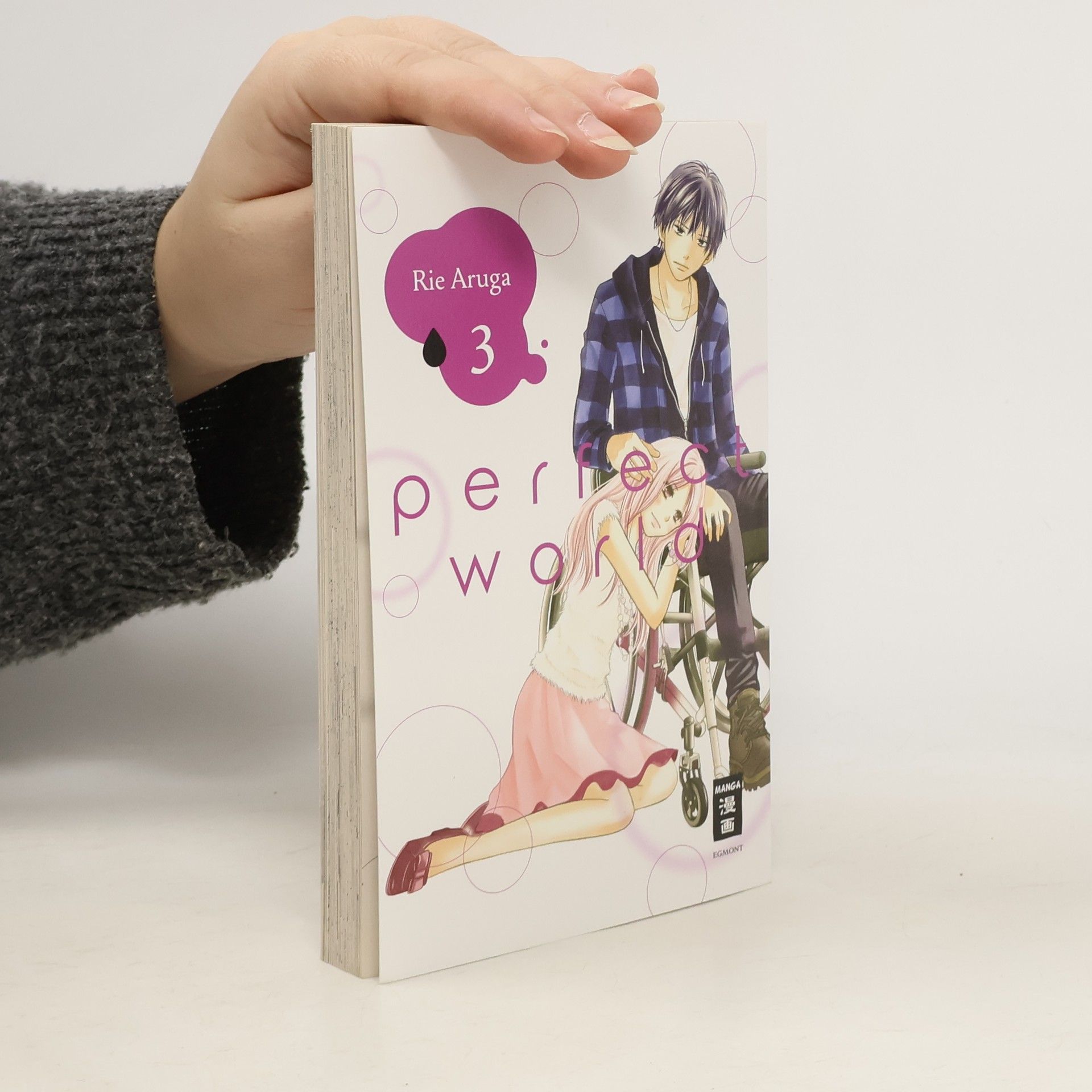 Rie Aruga Perfect World. Bd.3
