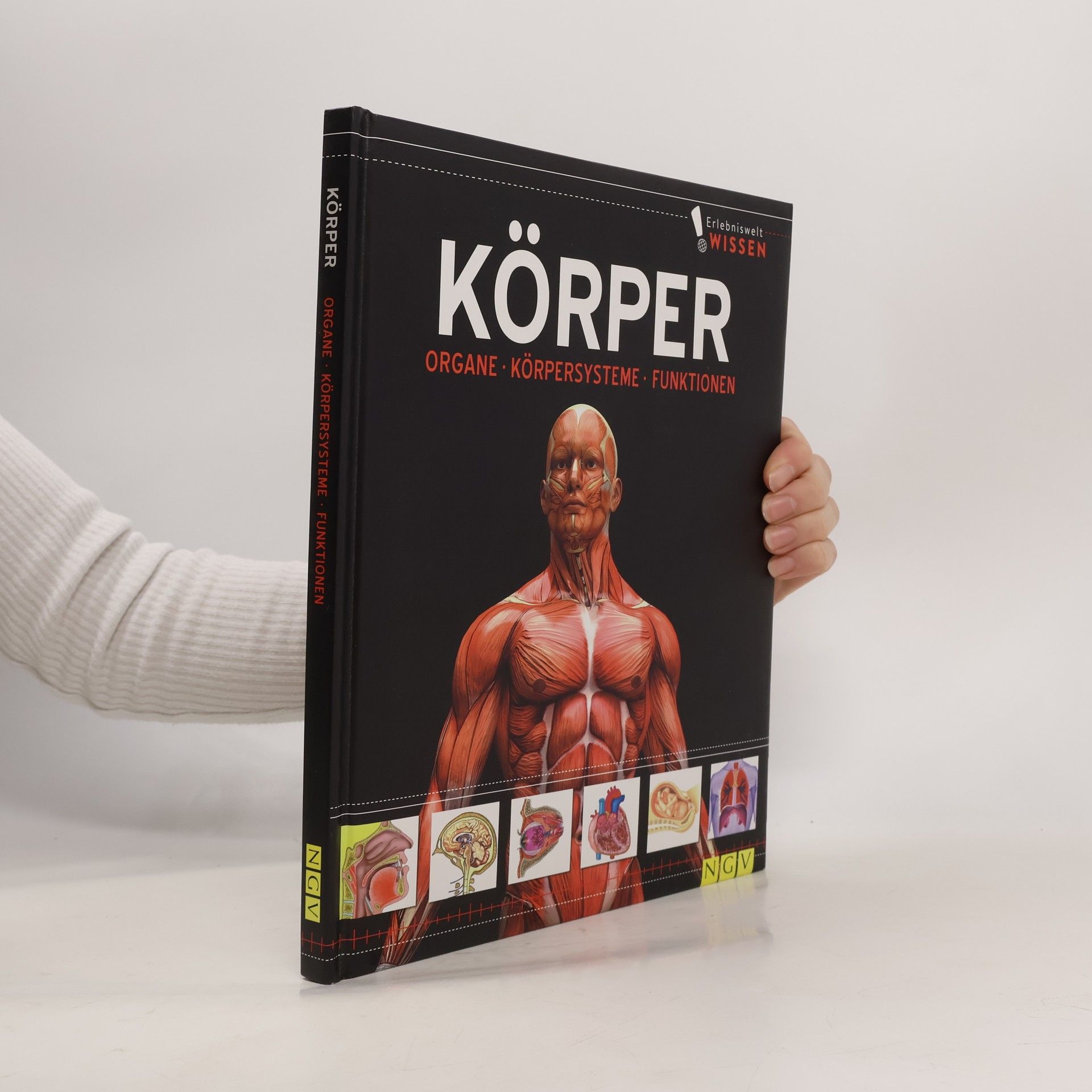 Collectif d'auteurs Körper