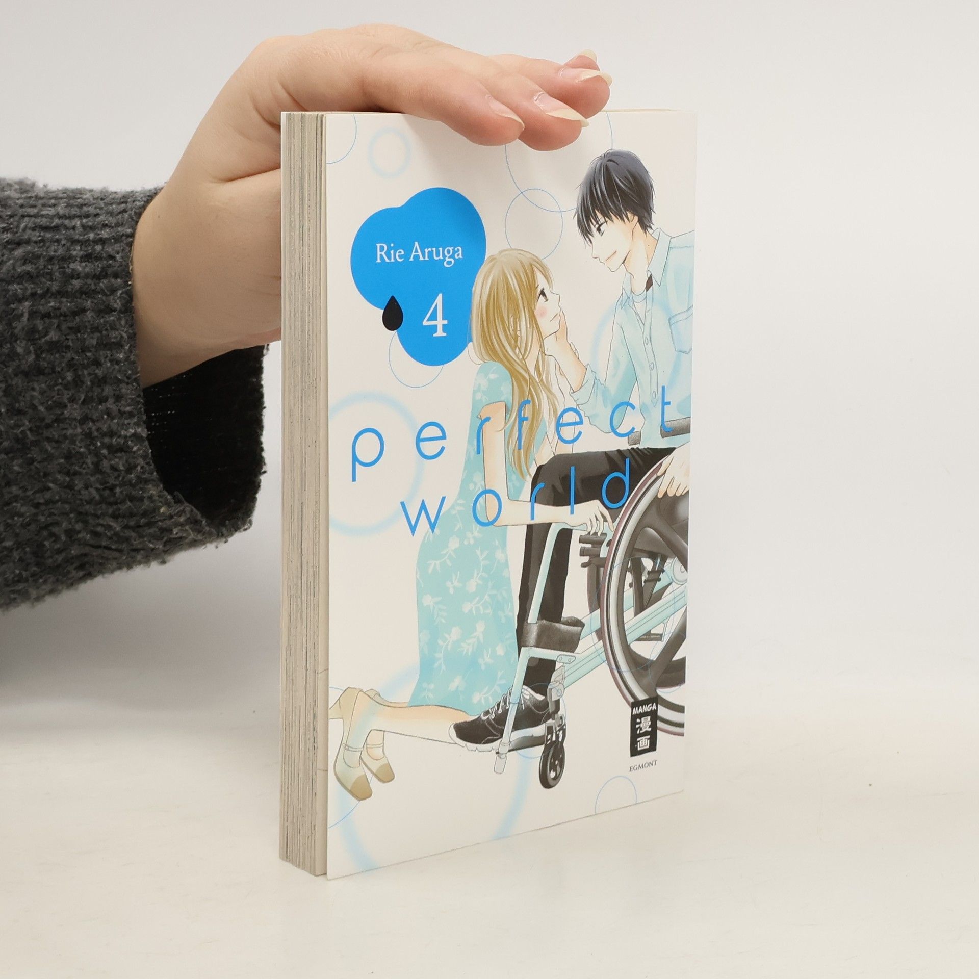 Rie Aruga Perfect World. Bd.4