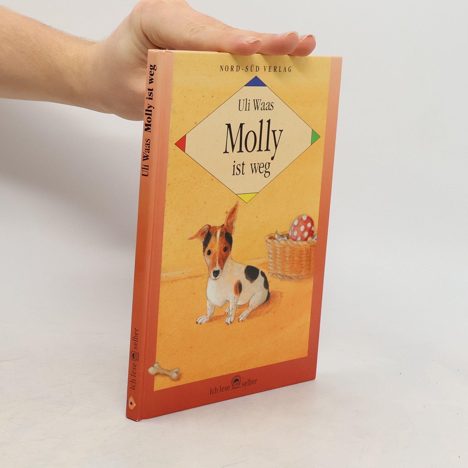 Kolektív autorov Molly ist weg