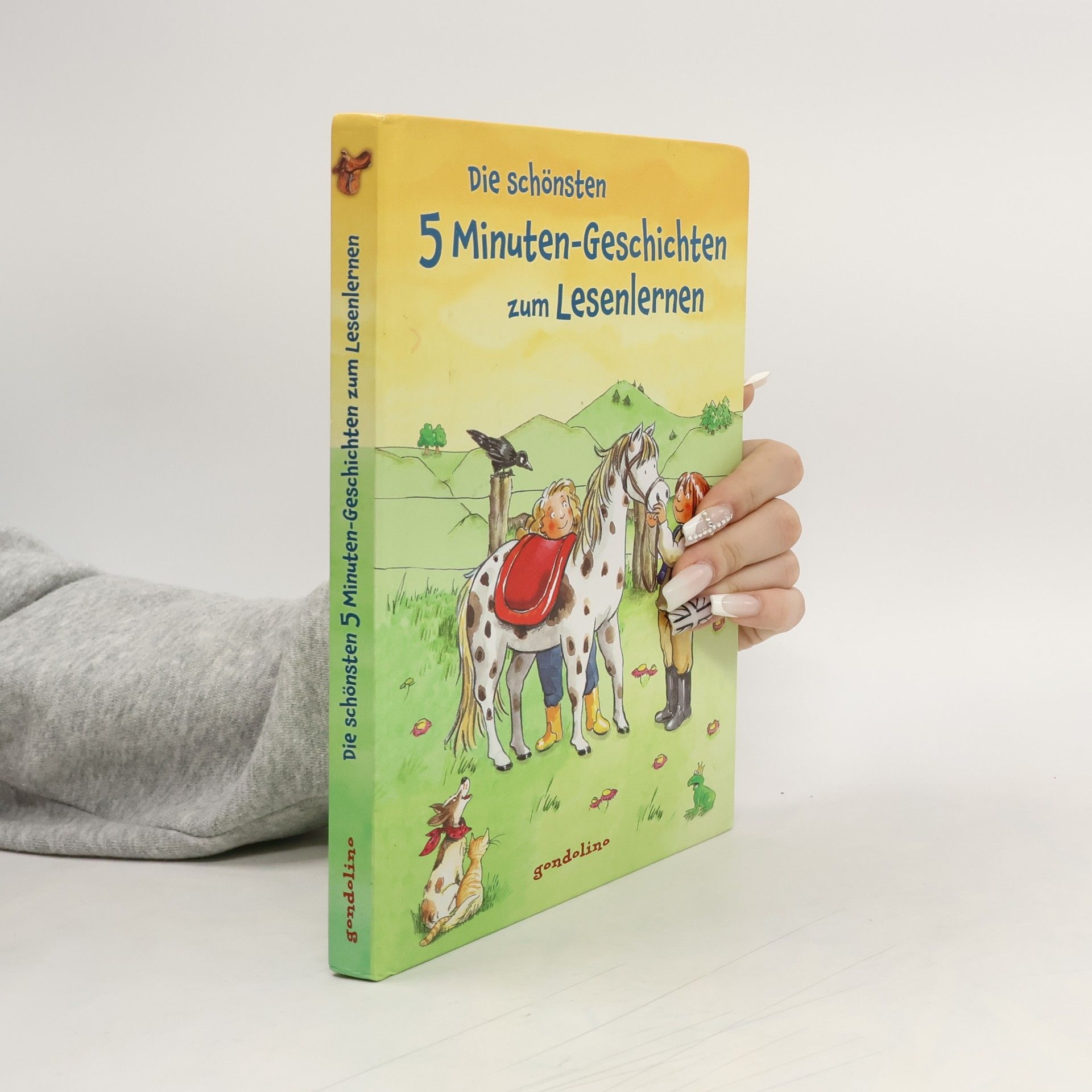 Autorenkollektiv Die schönsten 5 Minuten-Geschichten zum Lesenlernen