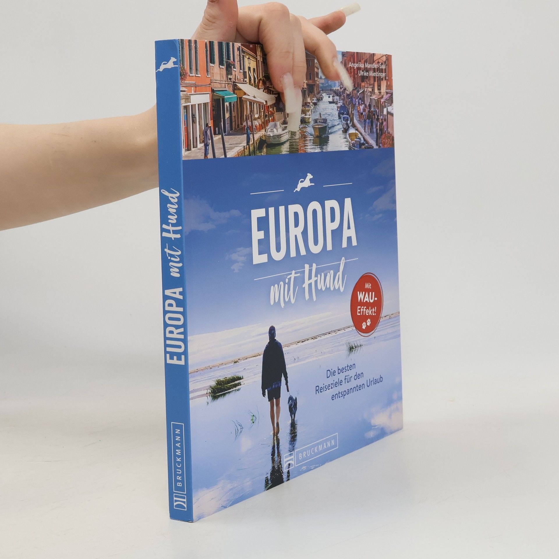 Angelika Mandler-Saul Europa mit Hund. Die besten Ziele für den entspannten Urlaub