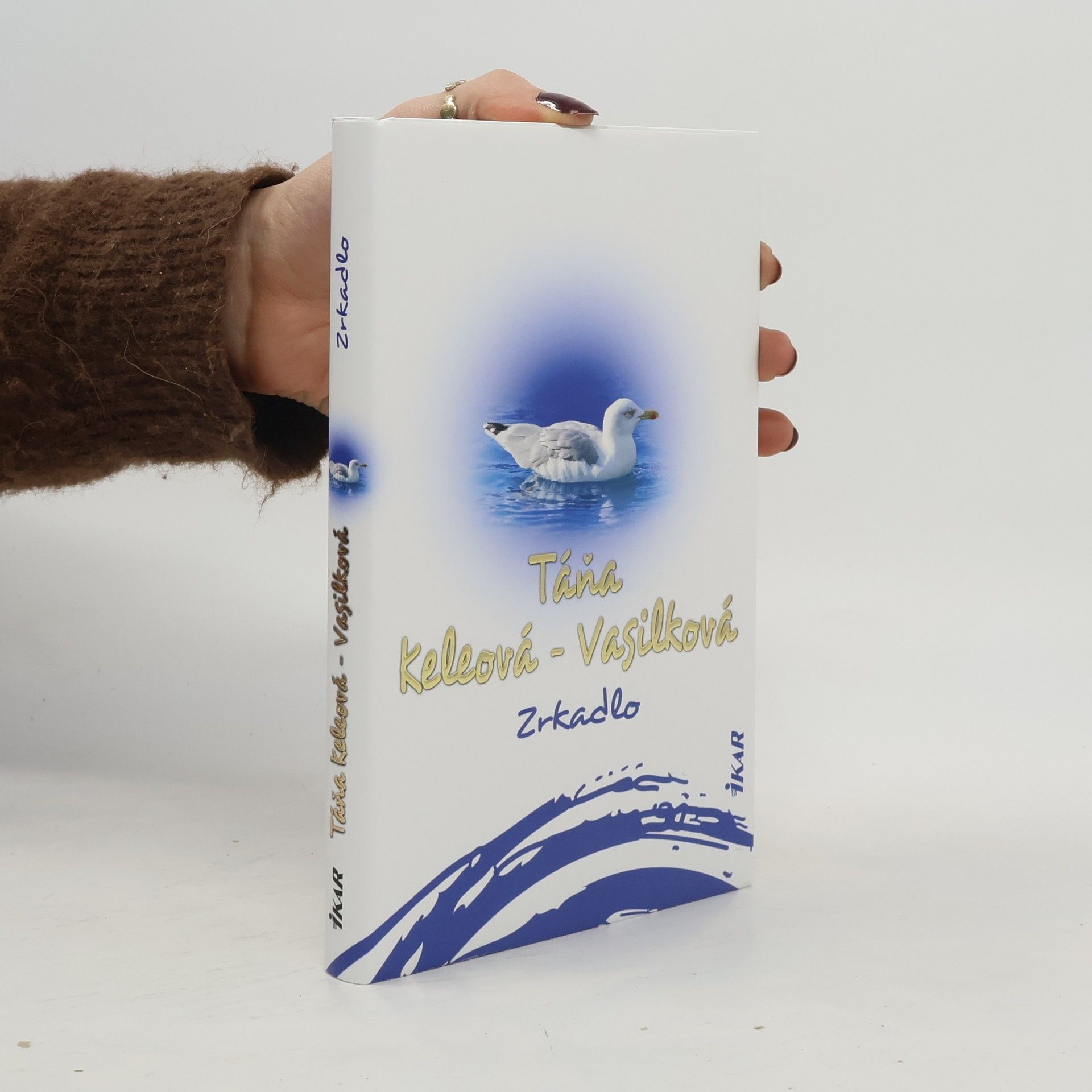 Táňa Keleová-Vasilková Zrkadlo