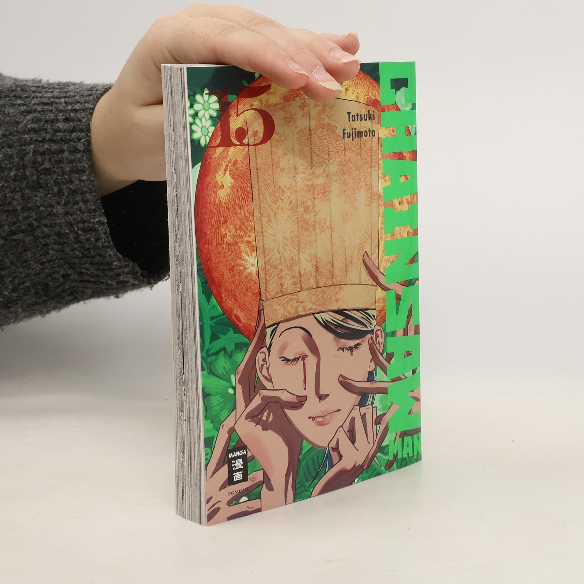 Tatsuki Fujimoto Chainsaw Man 15