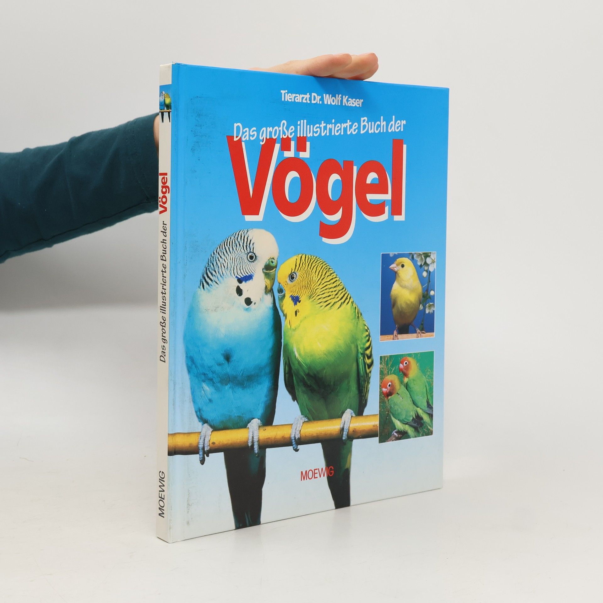 Wolf Kaser Das grose illustrierte Buch der Vögel