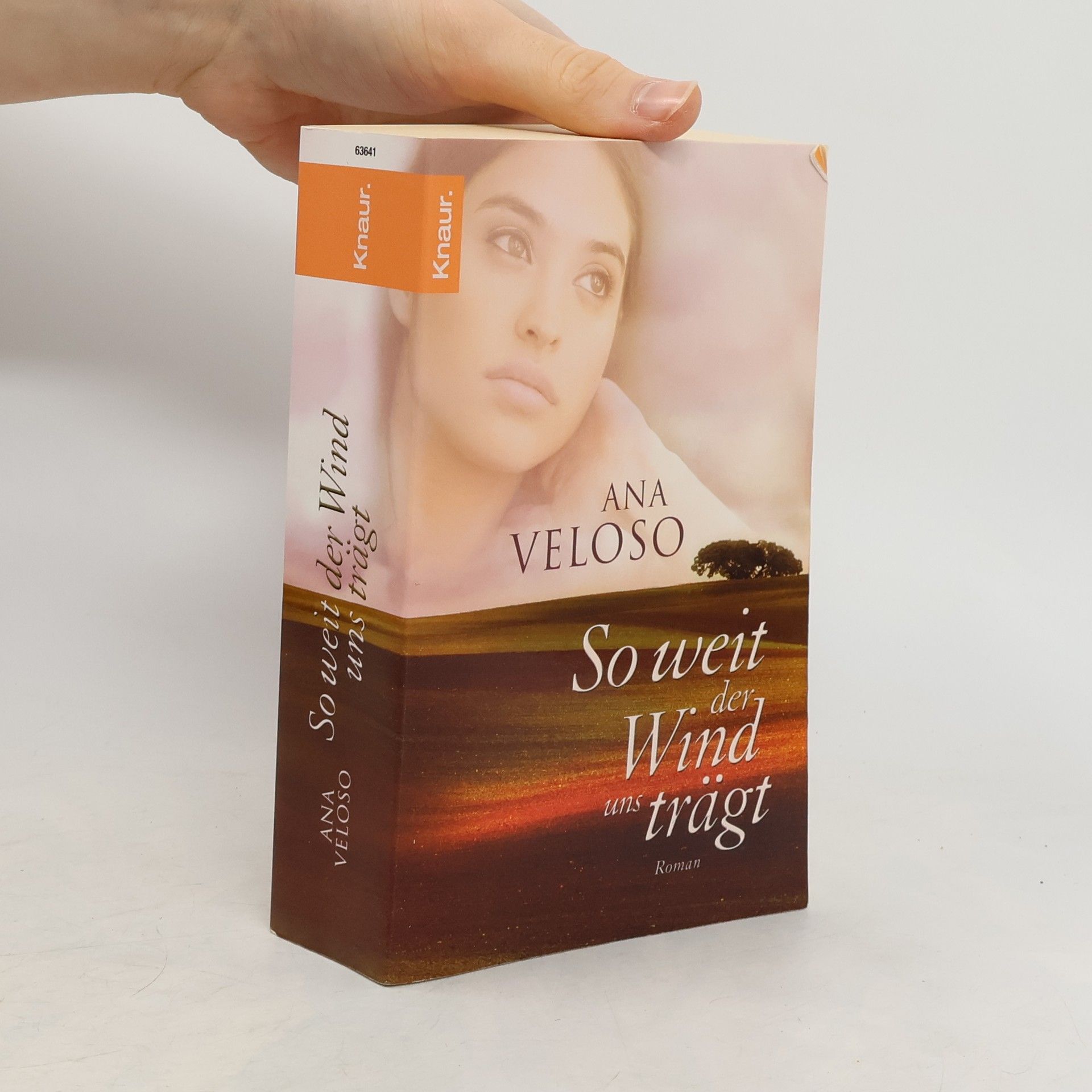 Ana Veloso So weit der Wind uns trägt