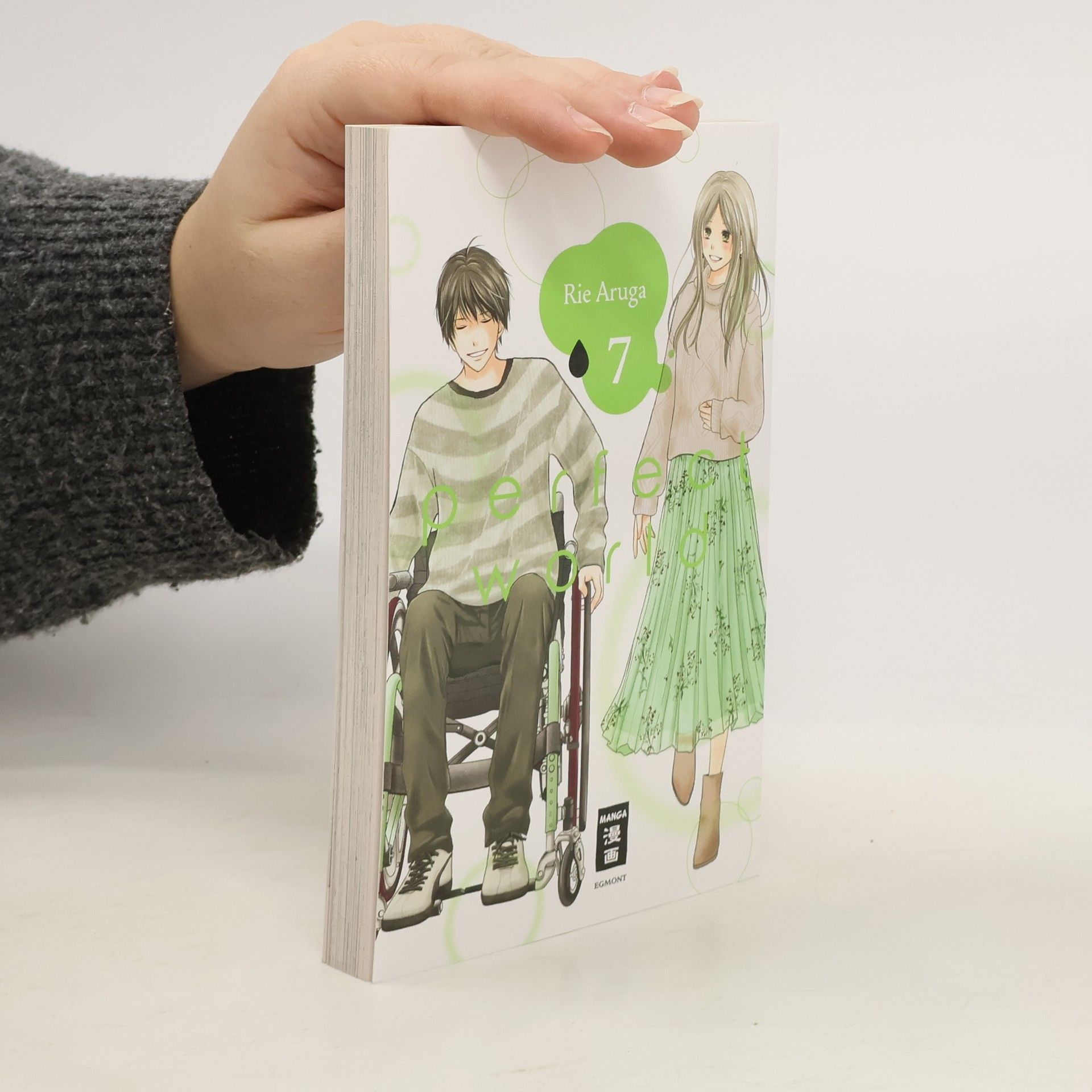 Rie Aruga Perfect World 07