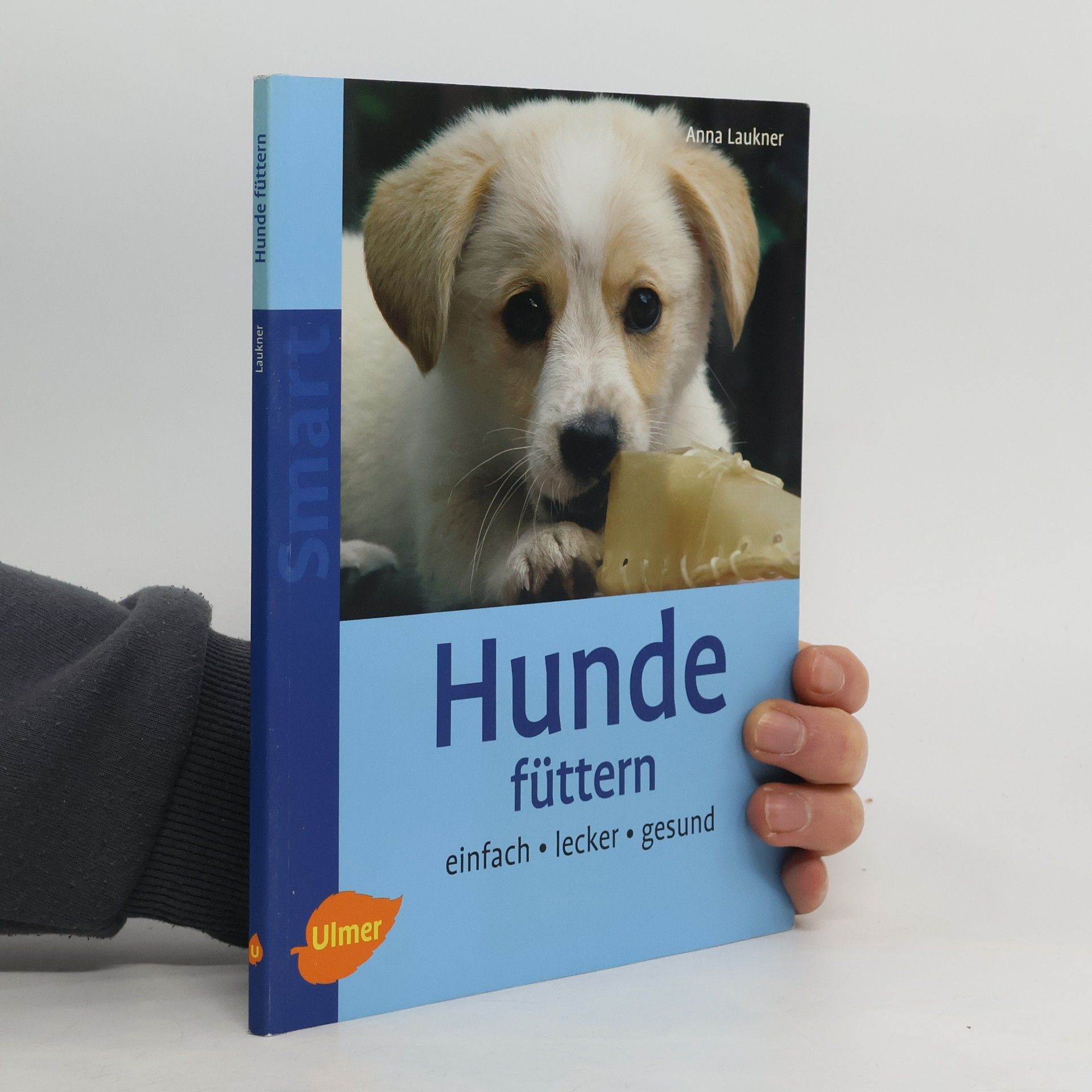 Anna Laukner Hunde füttern