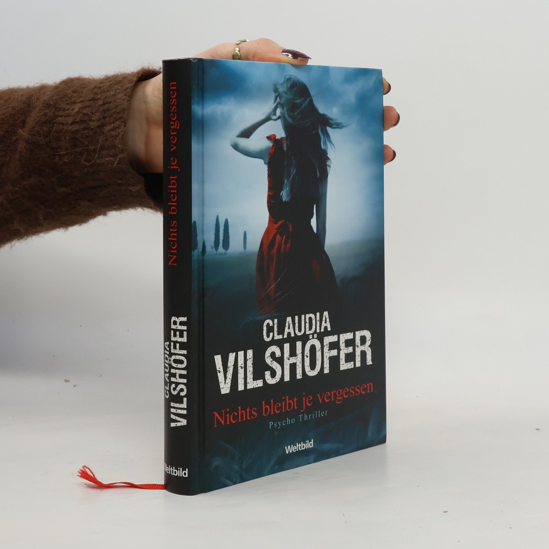 Claudia Vilshöfer Nichts bleibt je vergessen