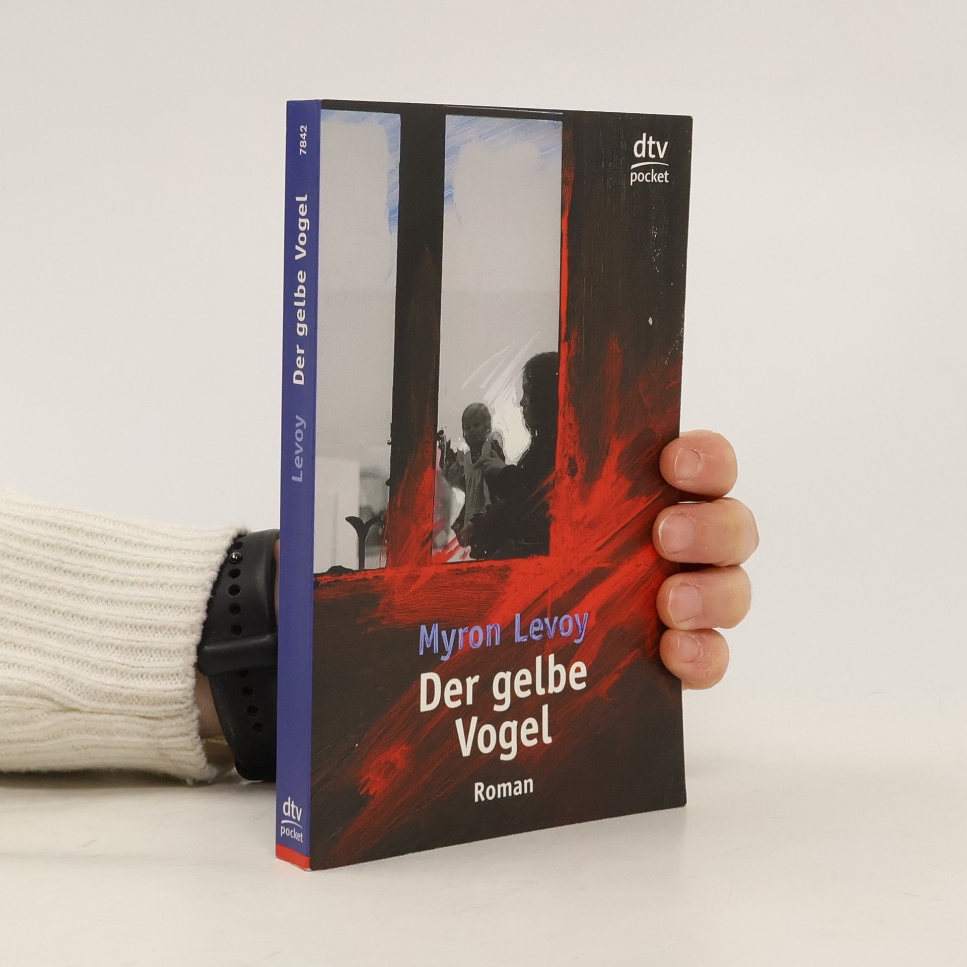 Myron Levoy Der gelbe Vogel