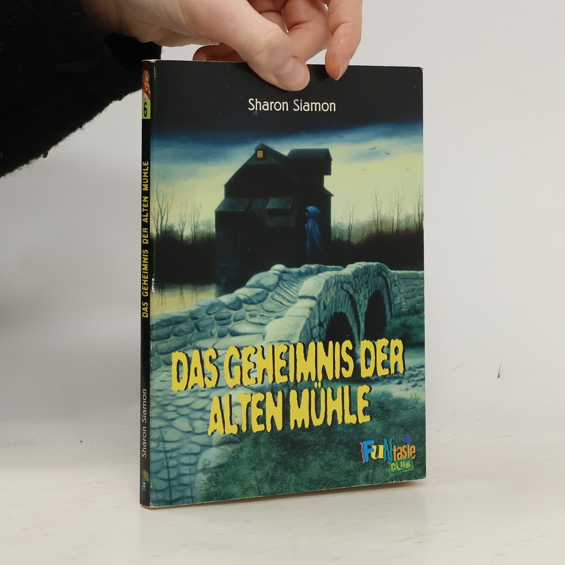 Das Geheimnis der alten Mühle,