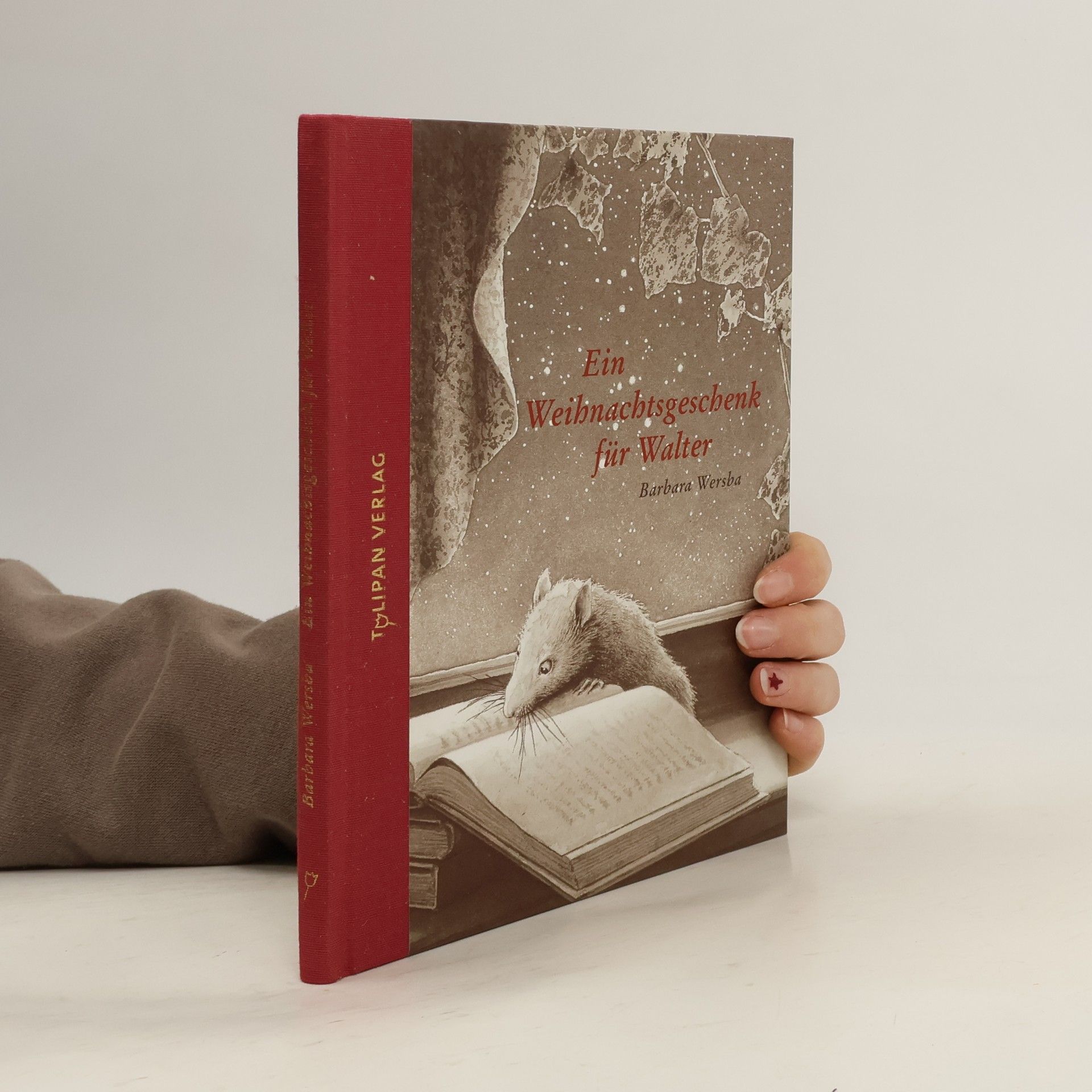 Barbara Wersba Ein Weihnachtsgeschenk für Walter