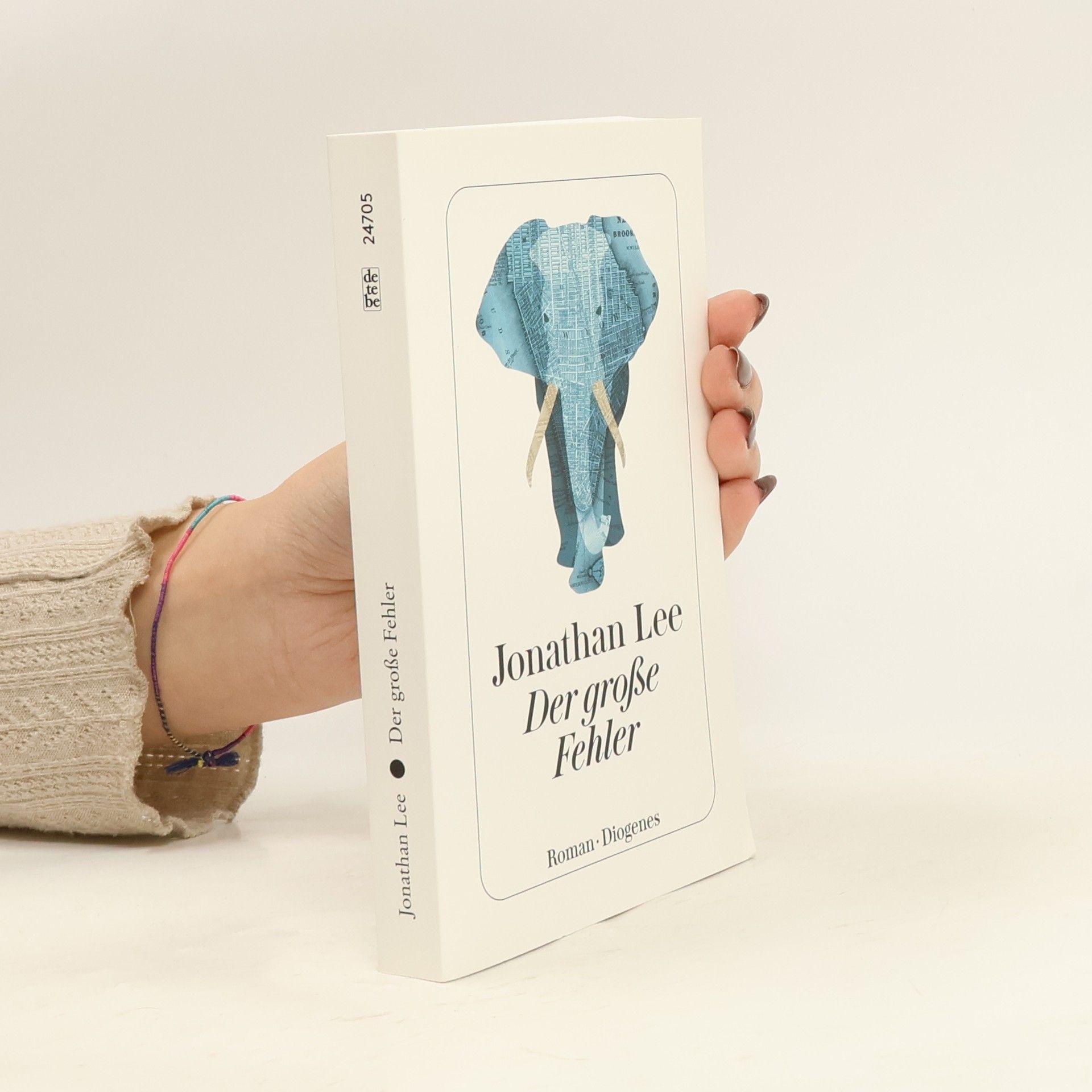 Jonathan Lee Der große Fehler