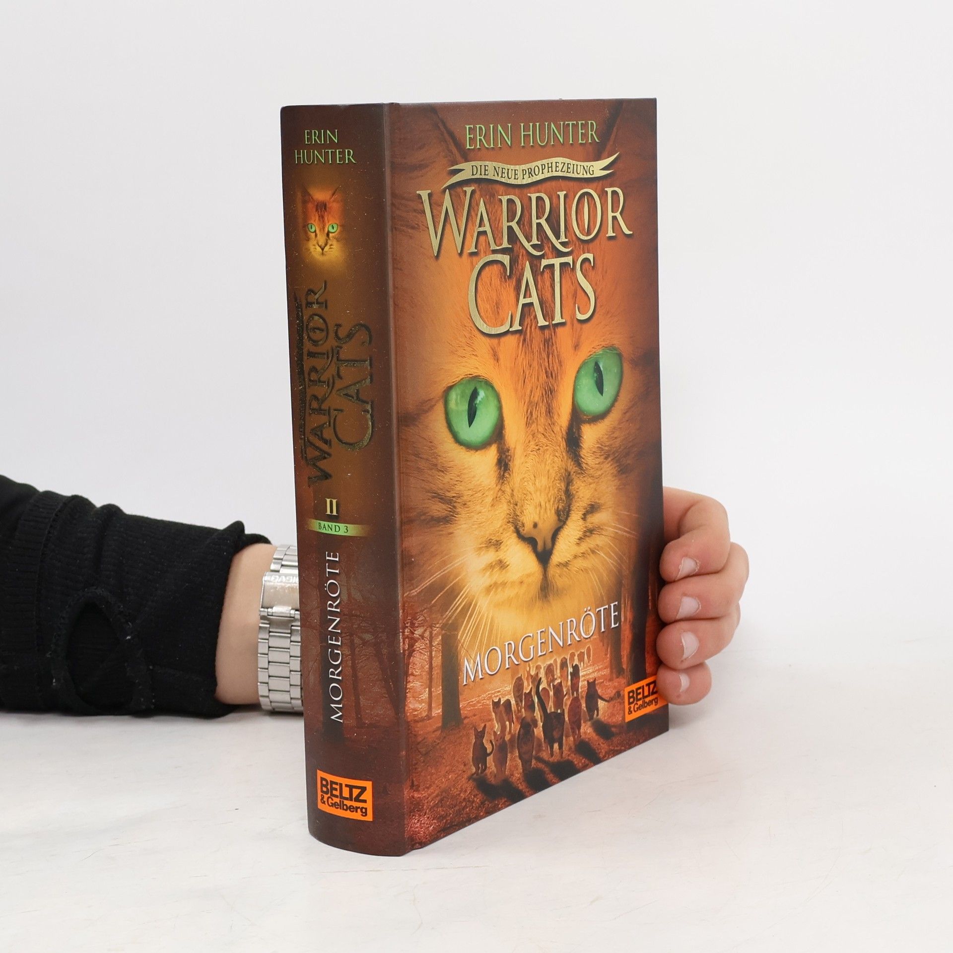 Erin Hunter Warrior Cats - Morgenröte