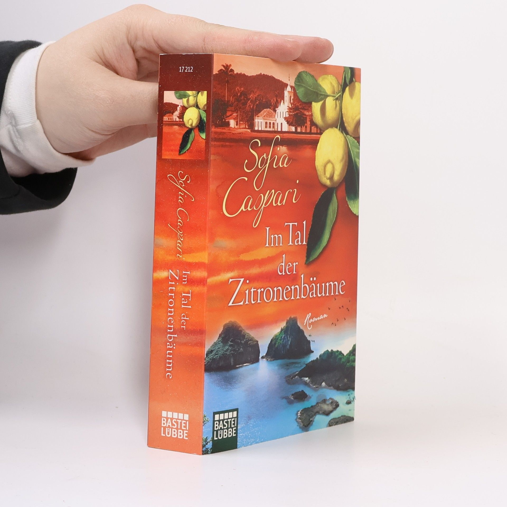 Im Tal der Zitronenbäume