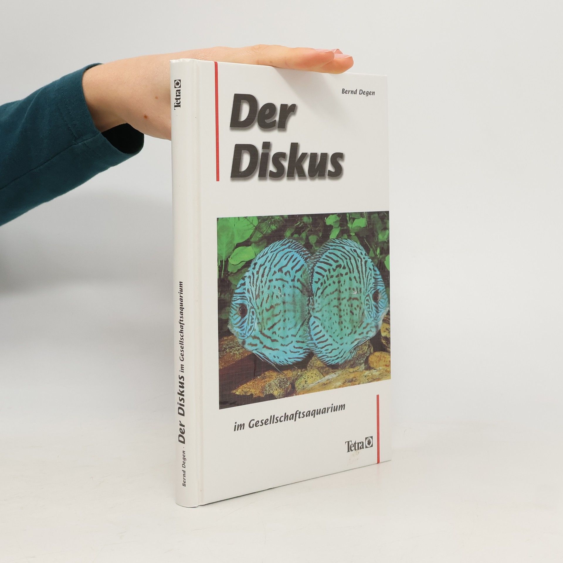 Der Diskus im Gesellschaftsaquarium