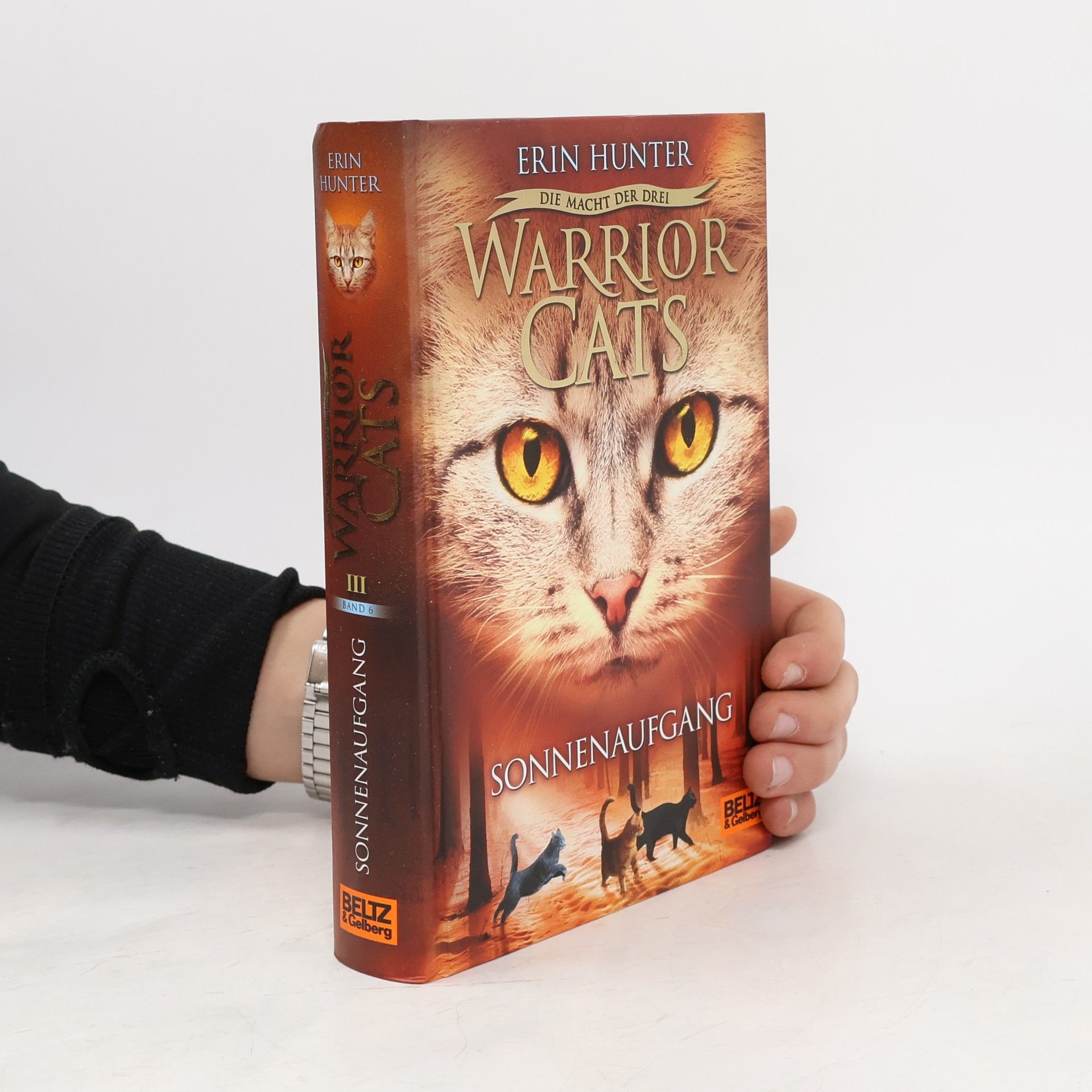 Erin Hunter Warrior Cats. Sonnenaufgang