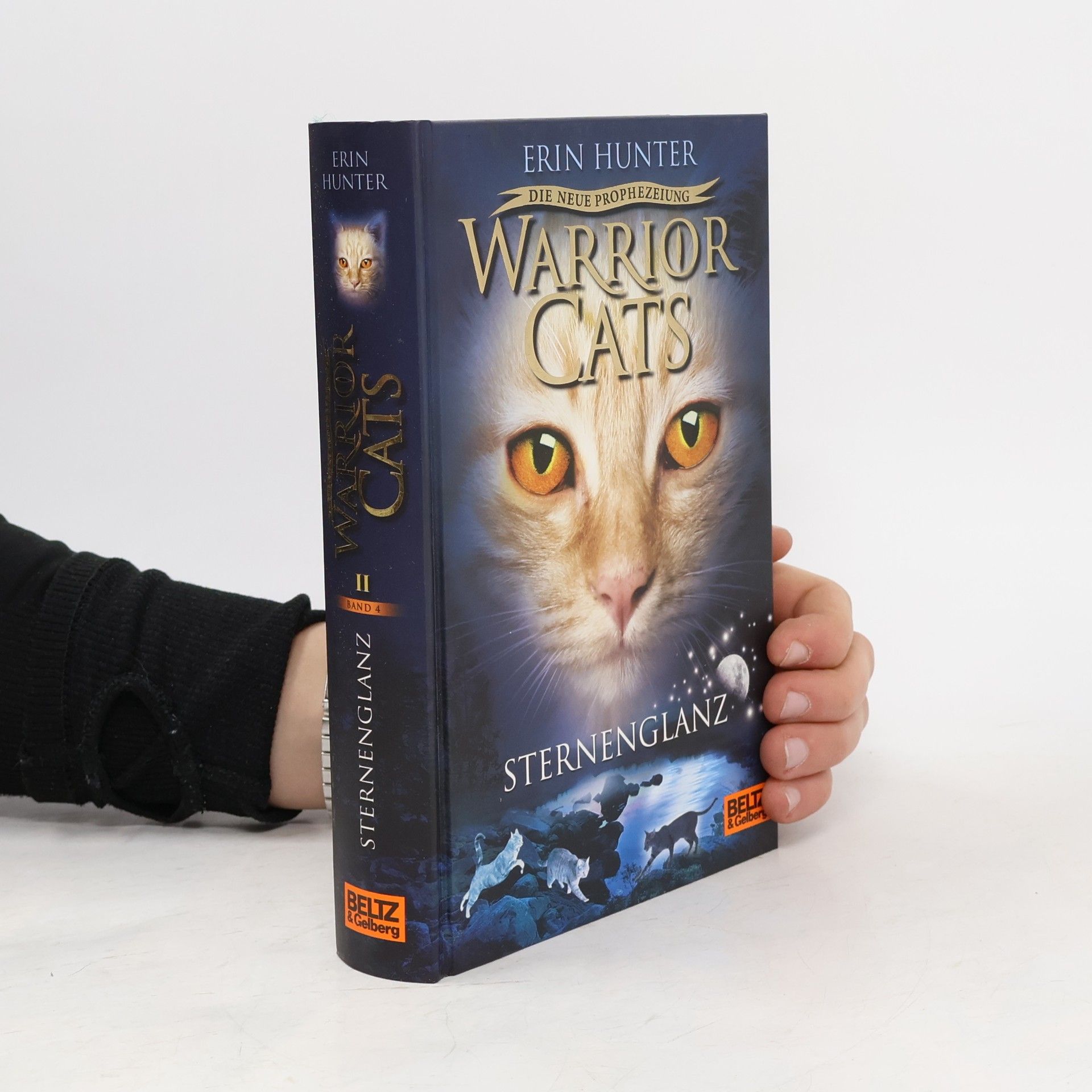 Warrior Cats; Sternenglanz