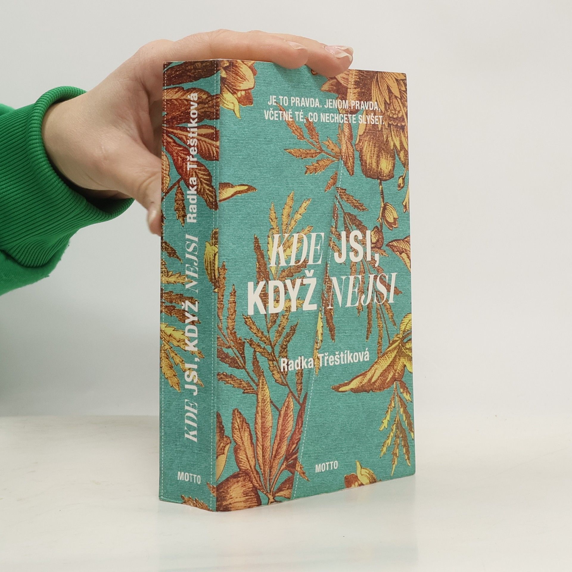 Radka Třeštíková Kde jsi, když nejsi