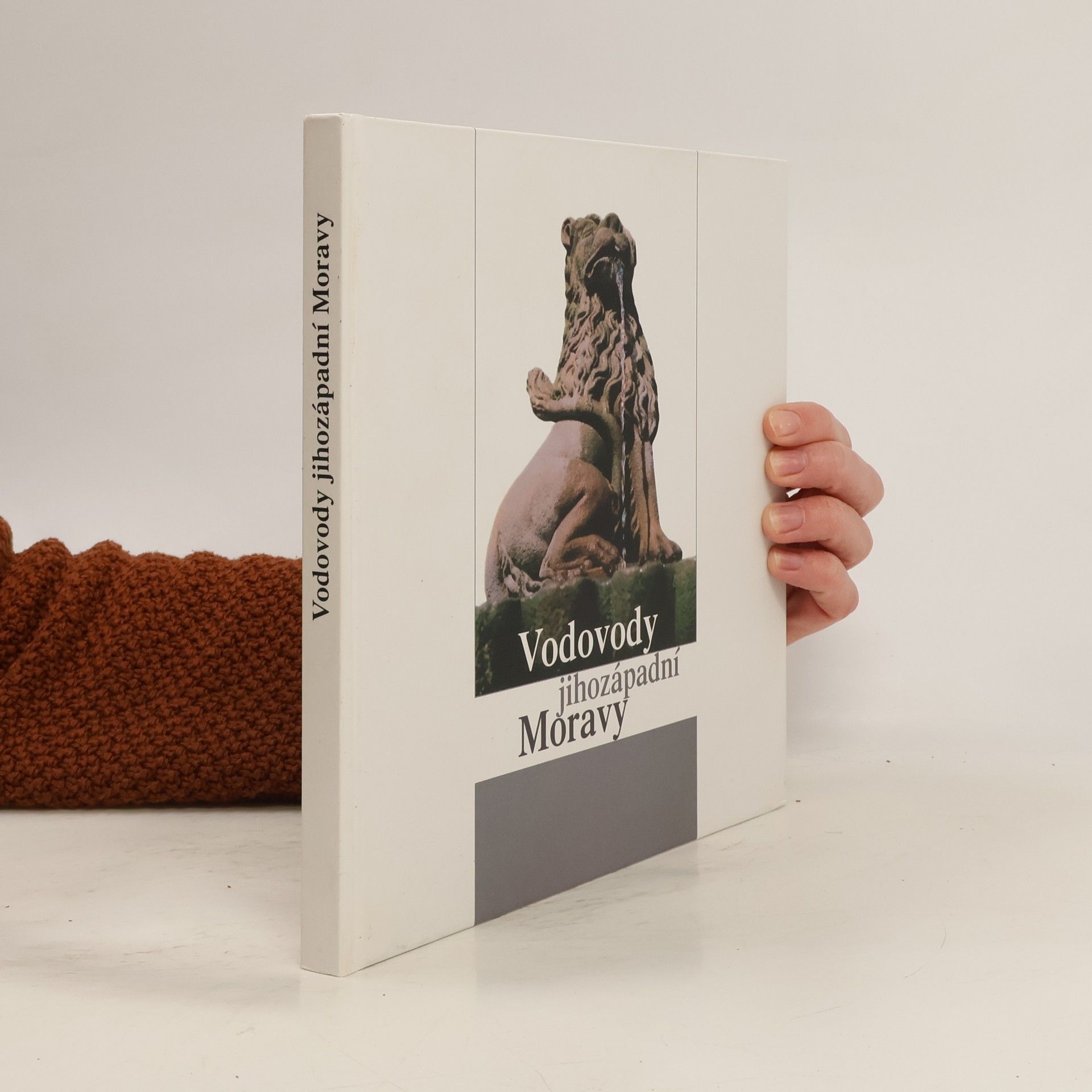 Vladimír Dvořák Vodovody jihozápadní Moravy