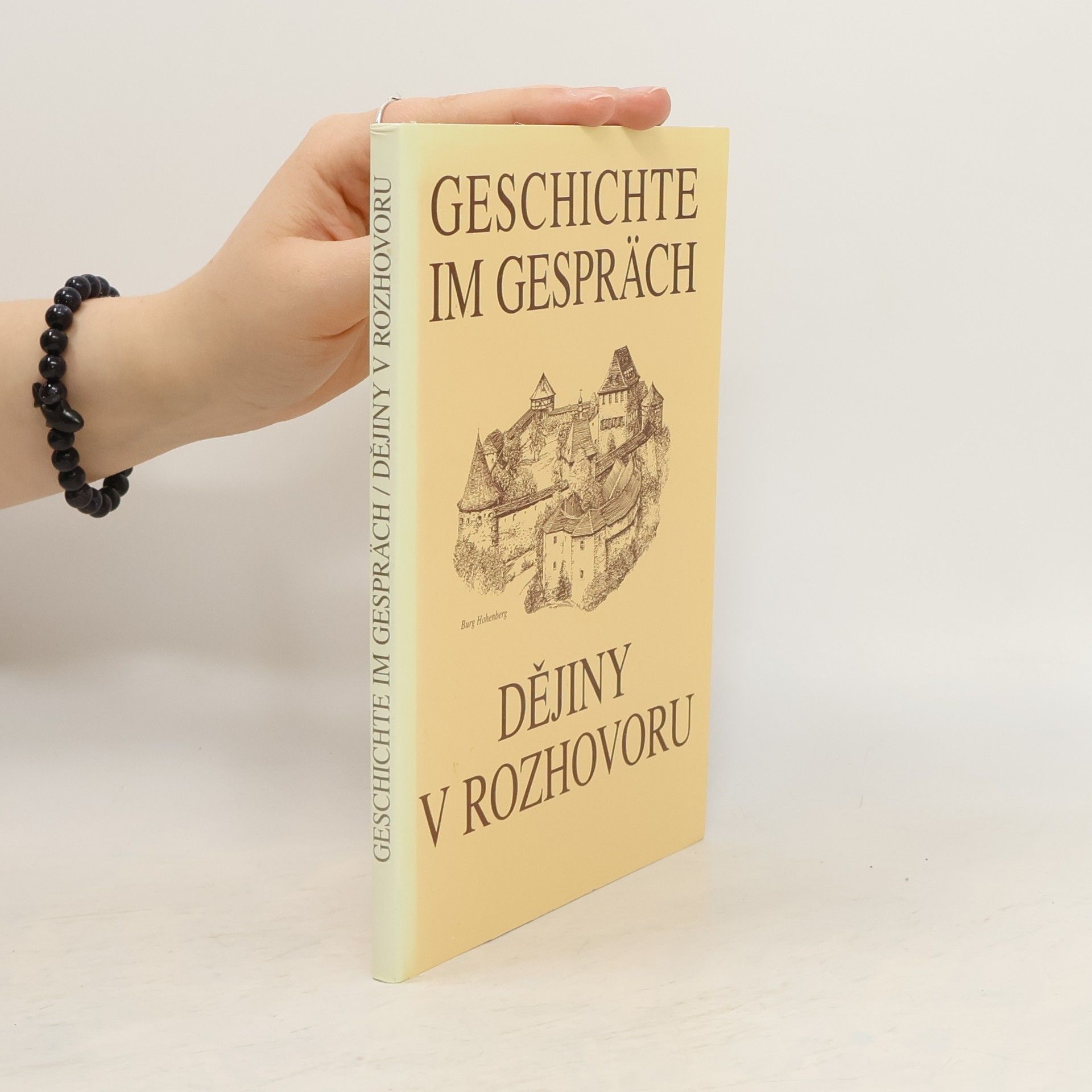 Collectif d'auteurs Geschichte im Gespräche. Dějiny v rozhovoru.