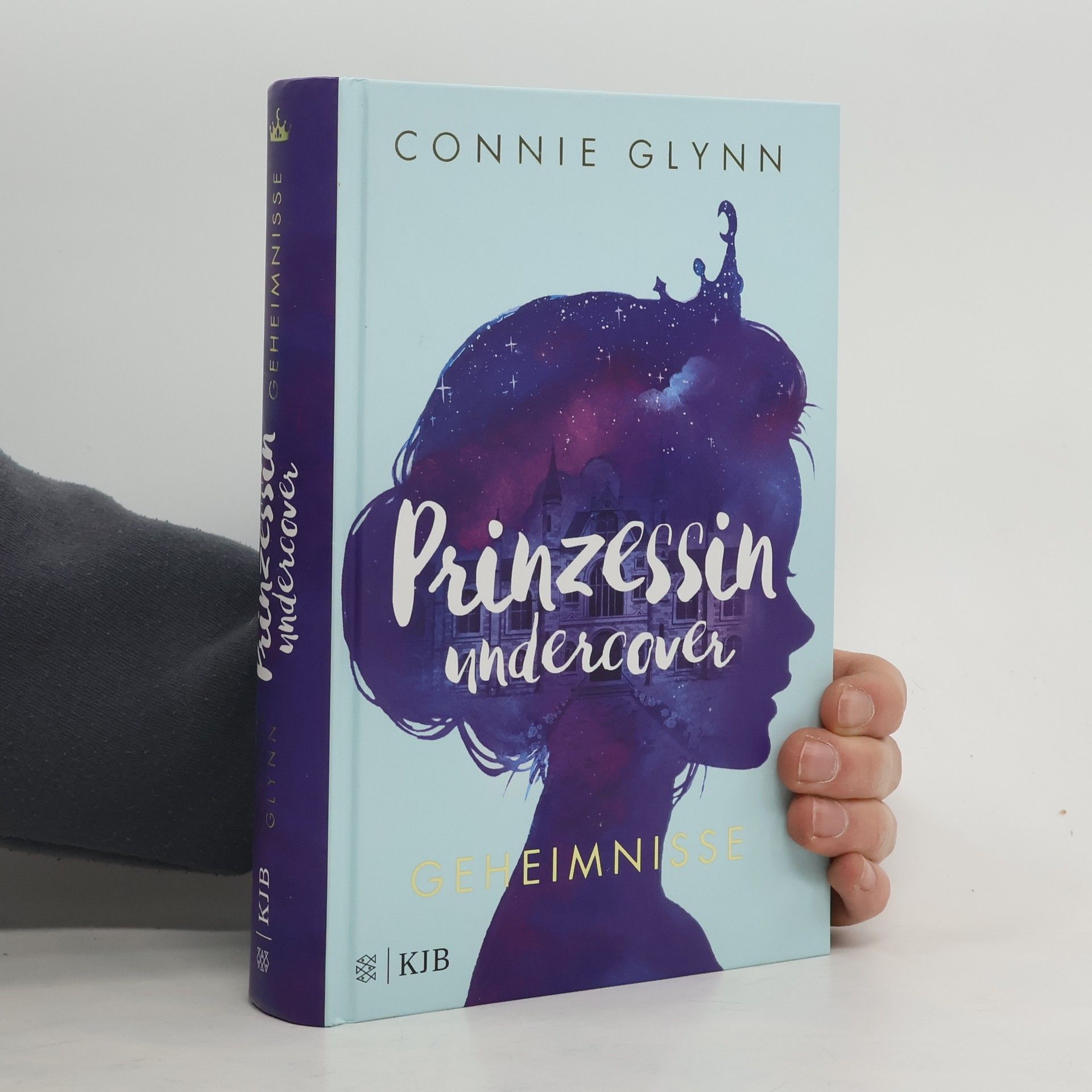 Connie Glynn Prinzessin undercover. Geheimnisse
