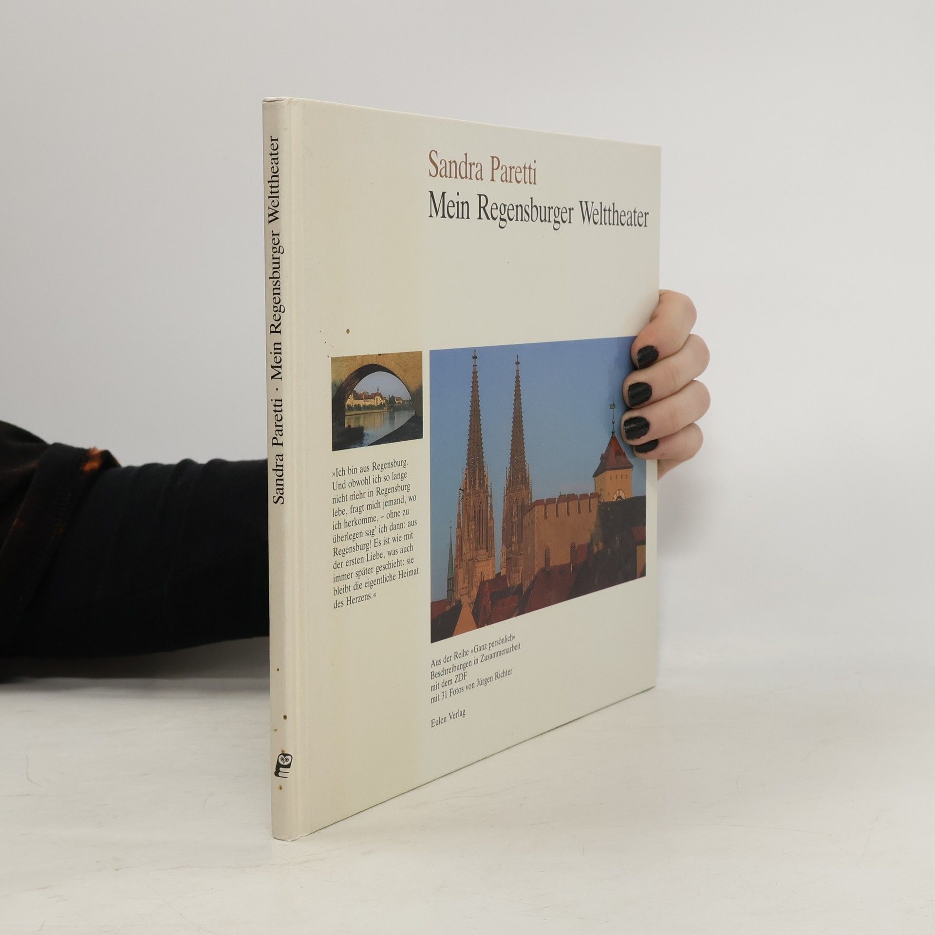 Mein Regensburger Welttheater