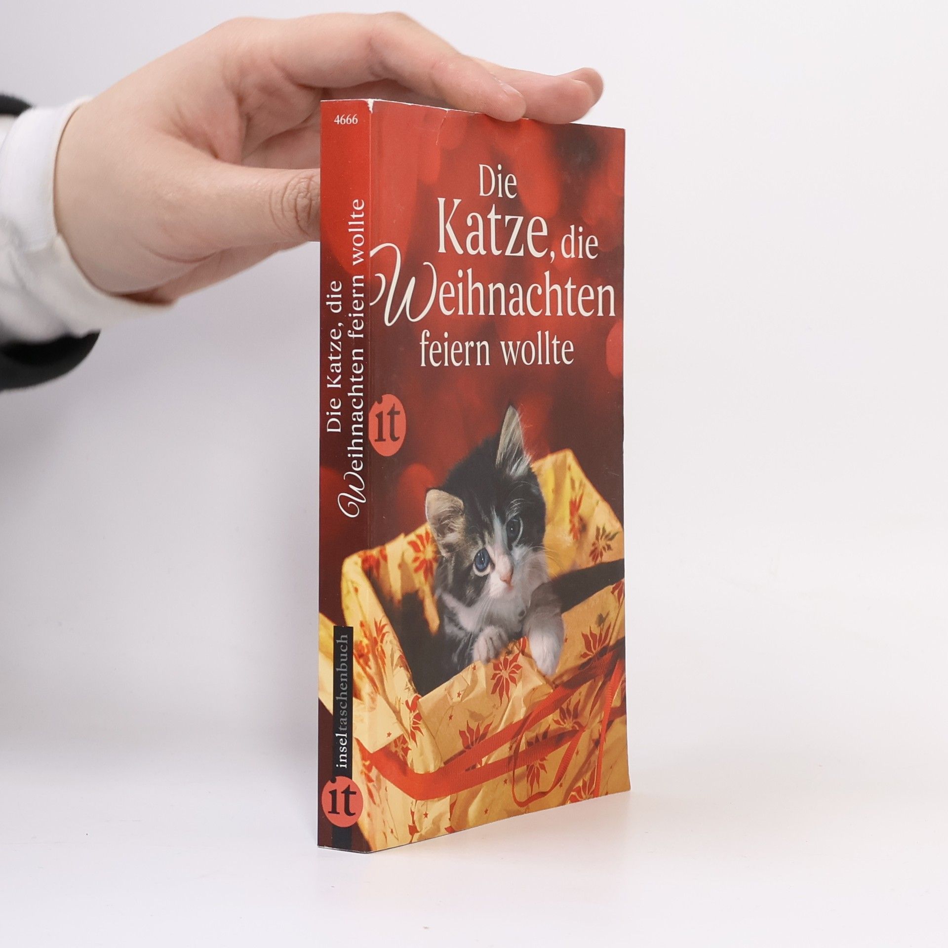 Gesine Dammel Die Katze, die Weihnachten feiern wollte