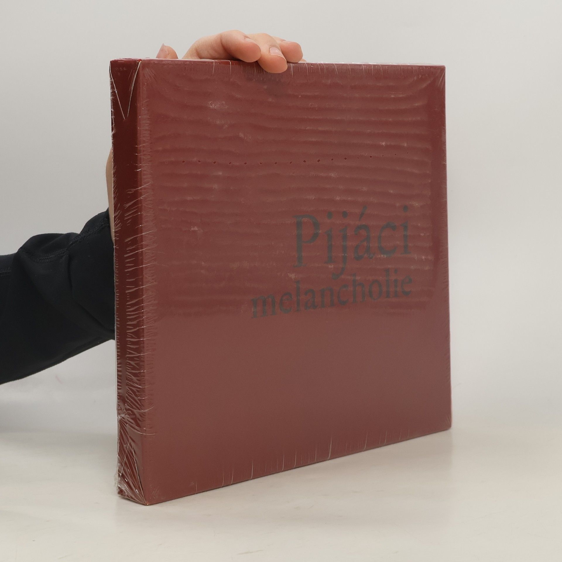 Vladimír Křivánek Pijáci melancholie