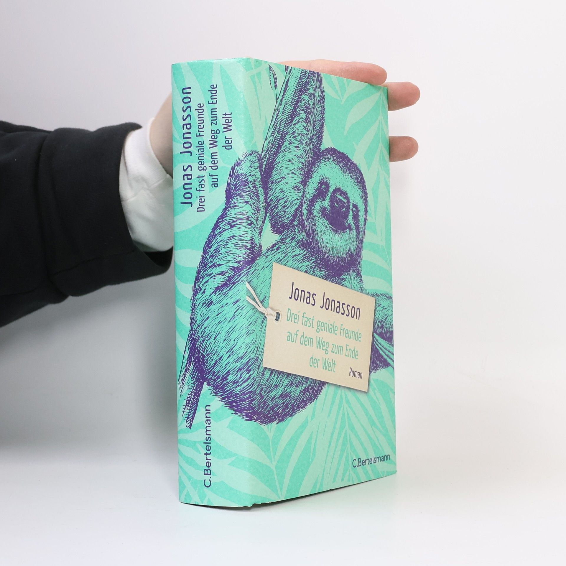 Jonas Jonasson Drei fast geniale Freunde auf dem Weg zum Ende der Welt