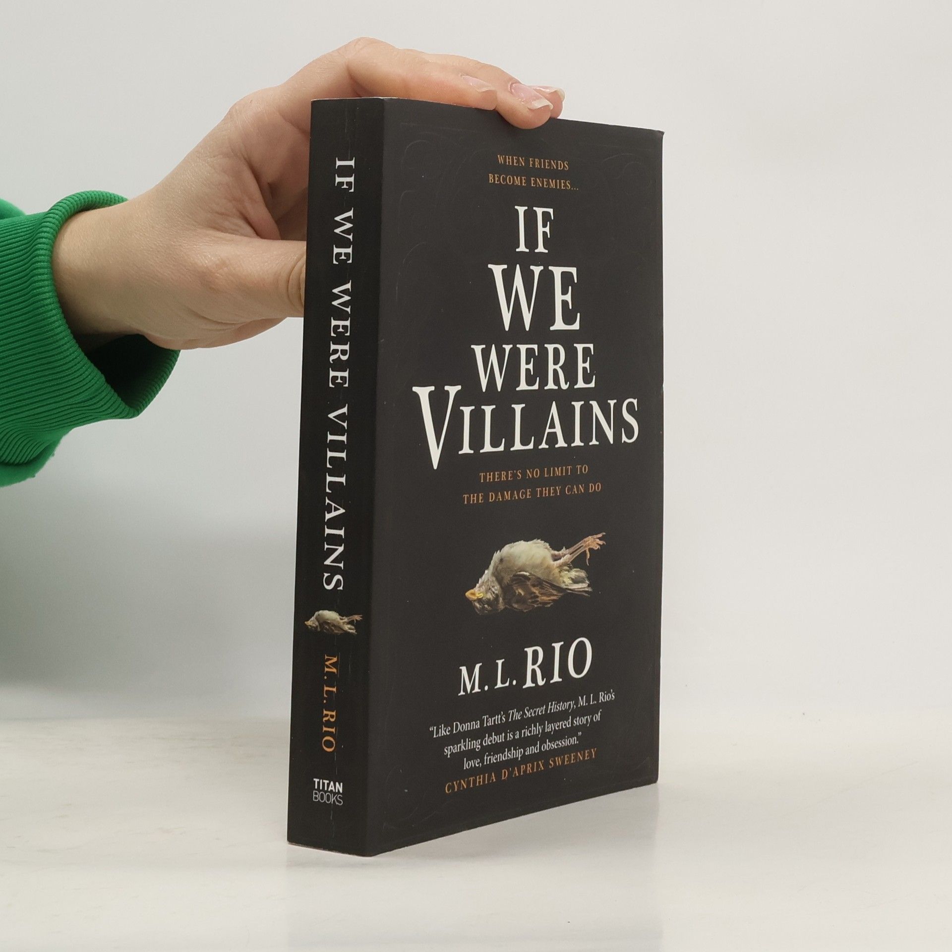 M. L. Rio If We Were Villains