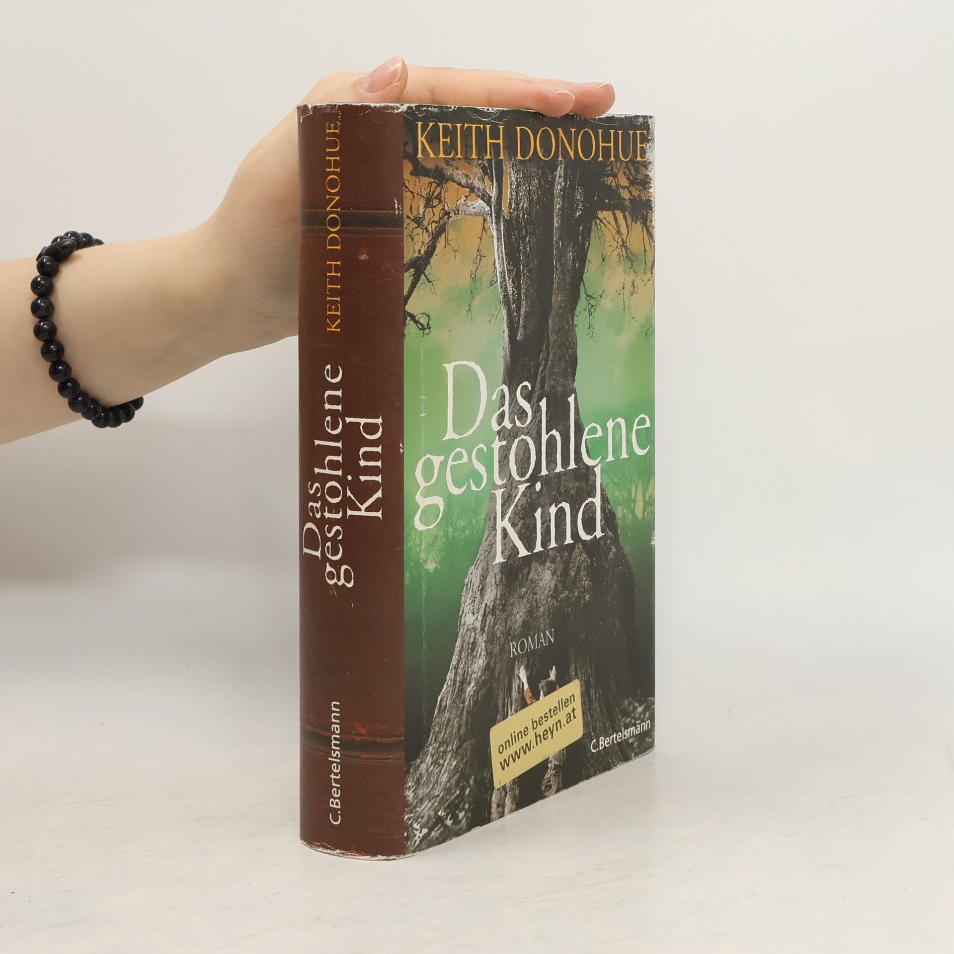 Keith Donohue Das gestohlene Kind