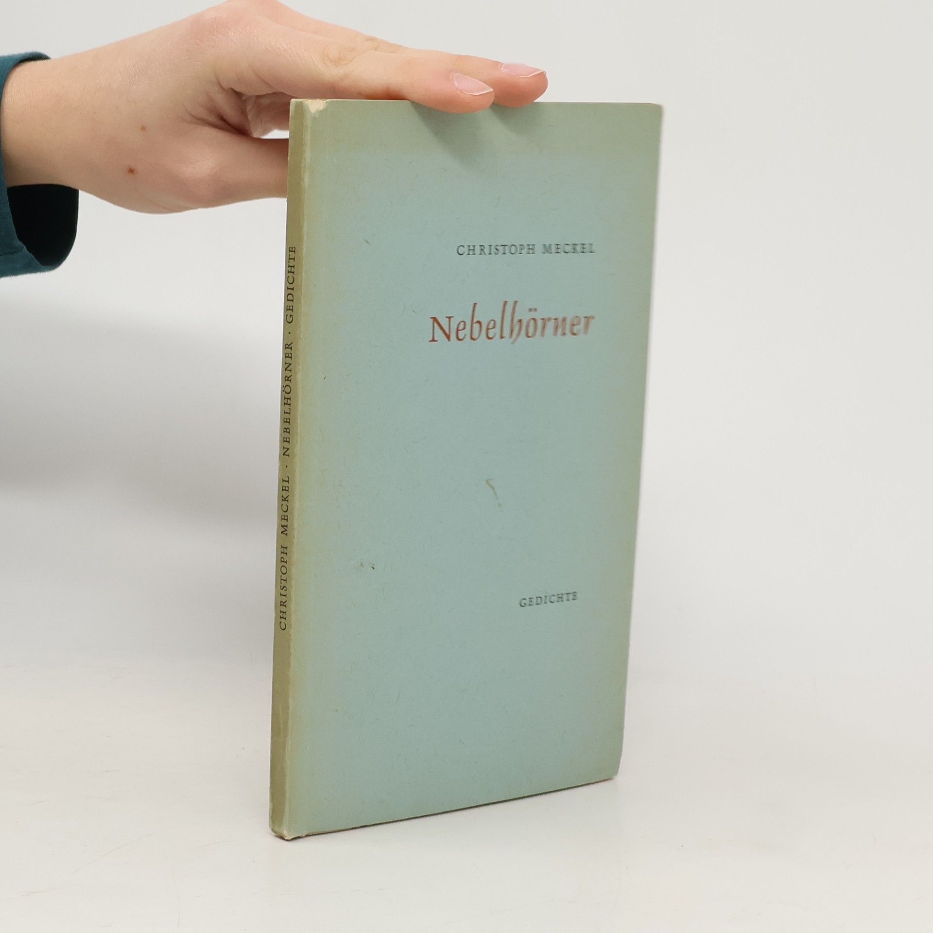 Christoph Meckel Nebelhörner